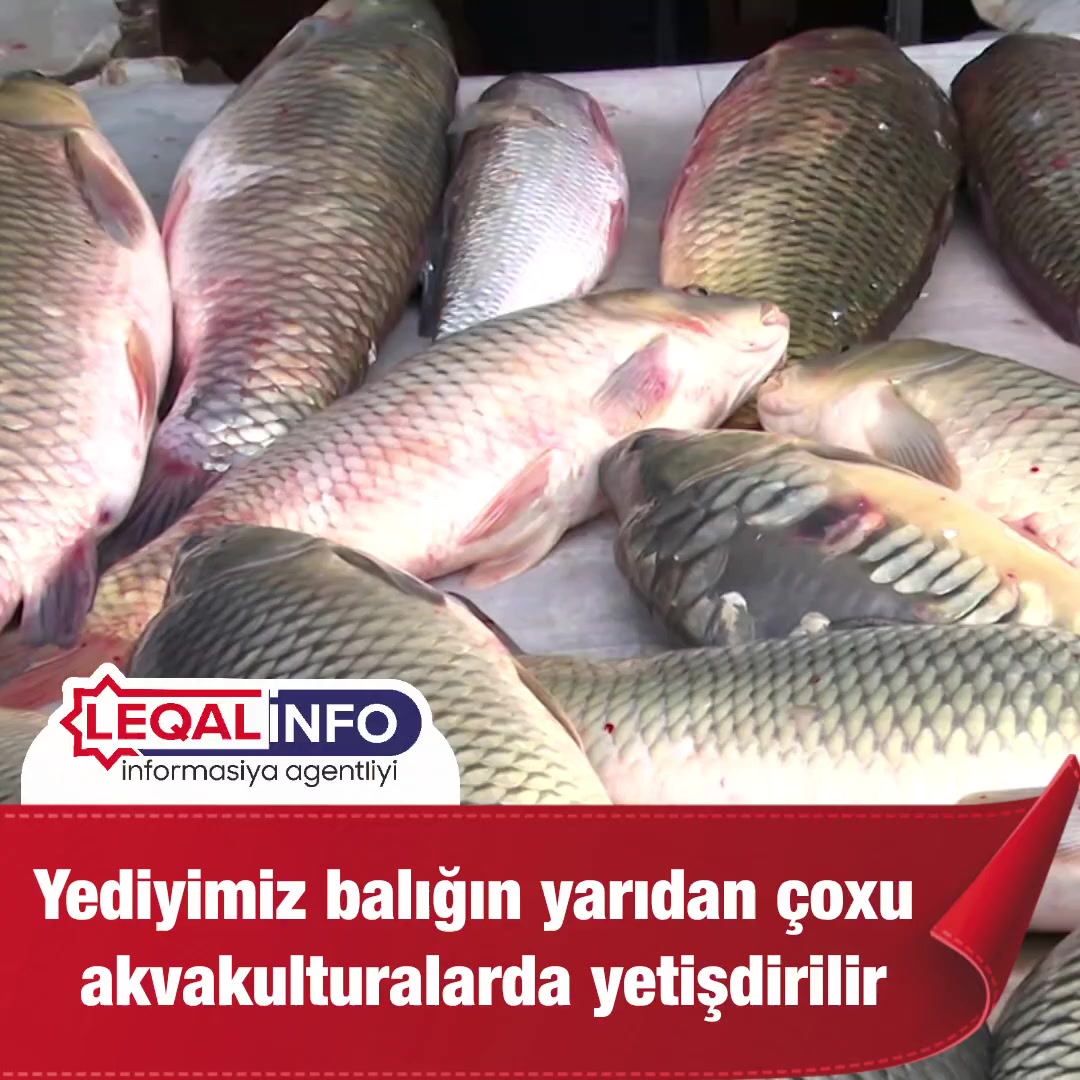 @leqalinfo