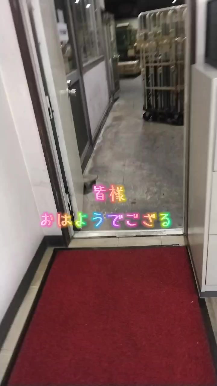 @🐶コマちゃんねる⭐越後の虎🐯