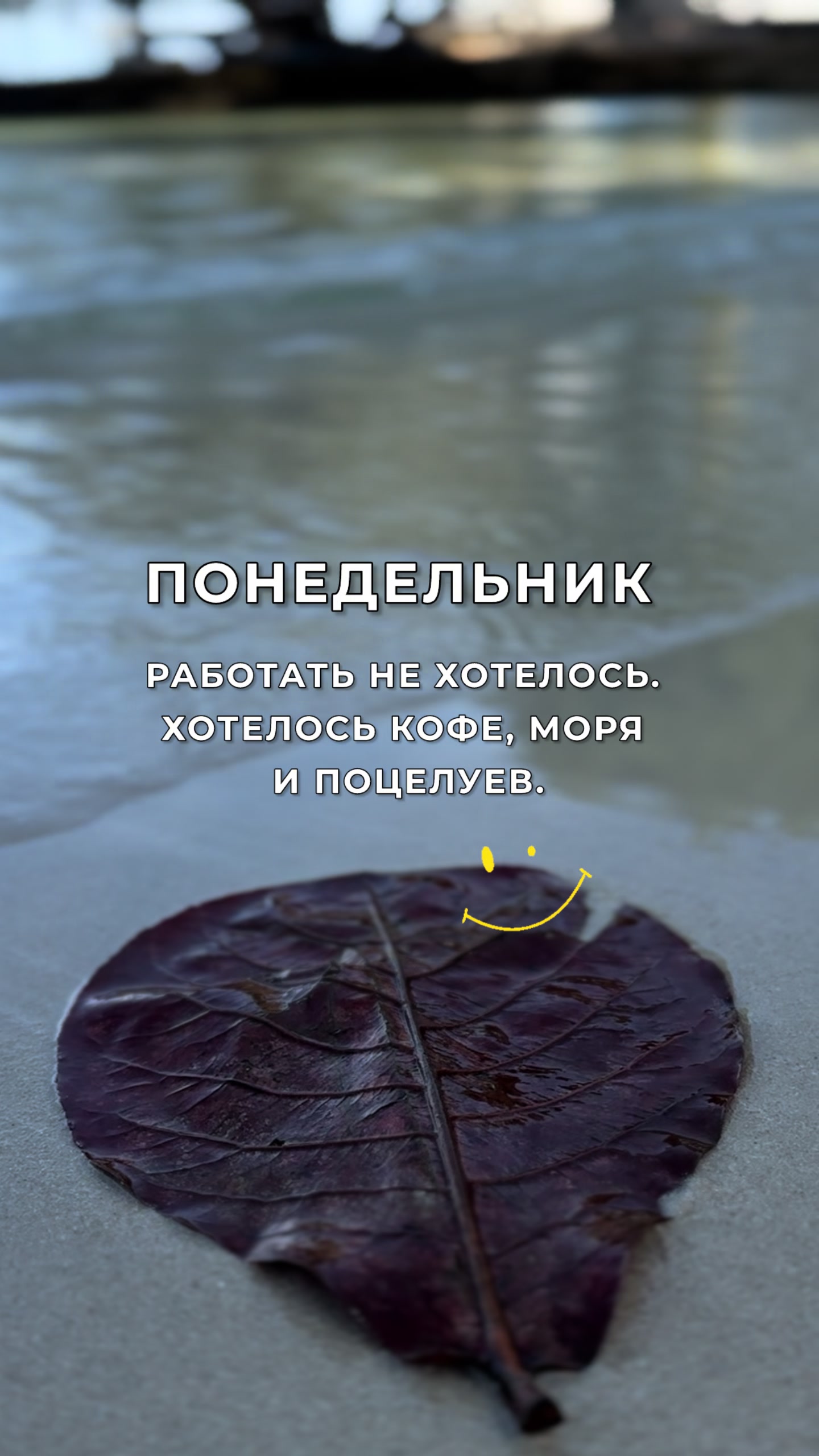 @Vera