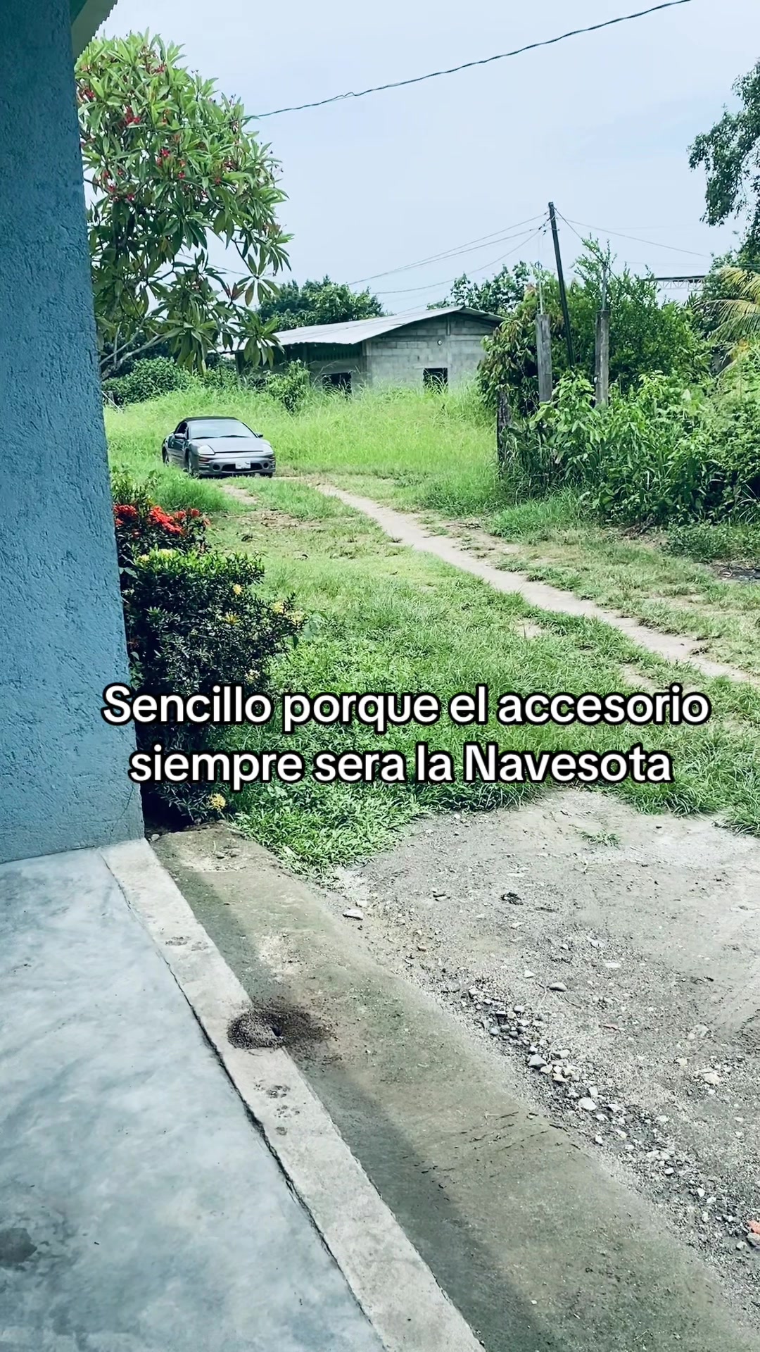 @Eli~