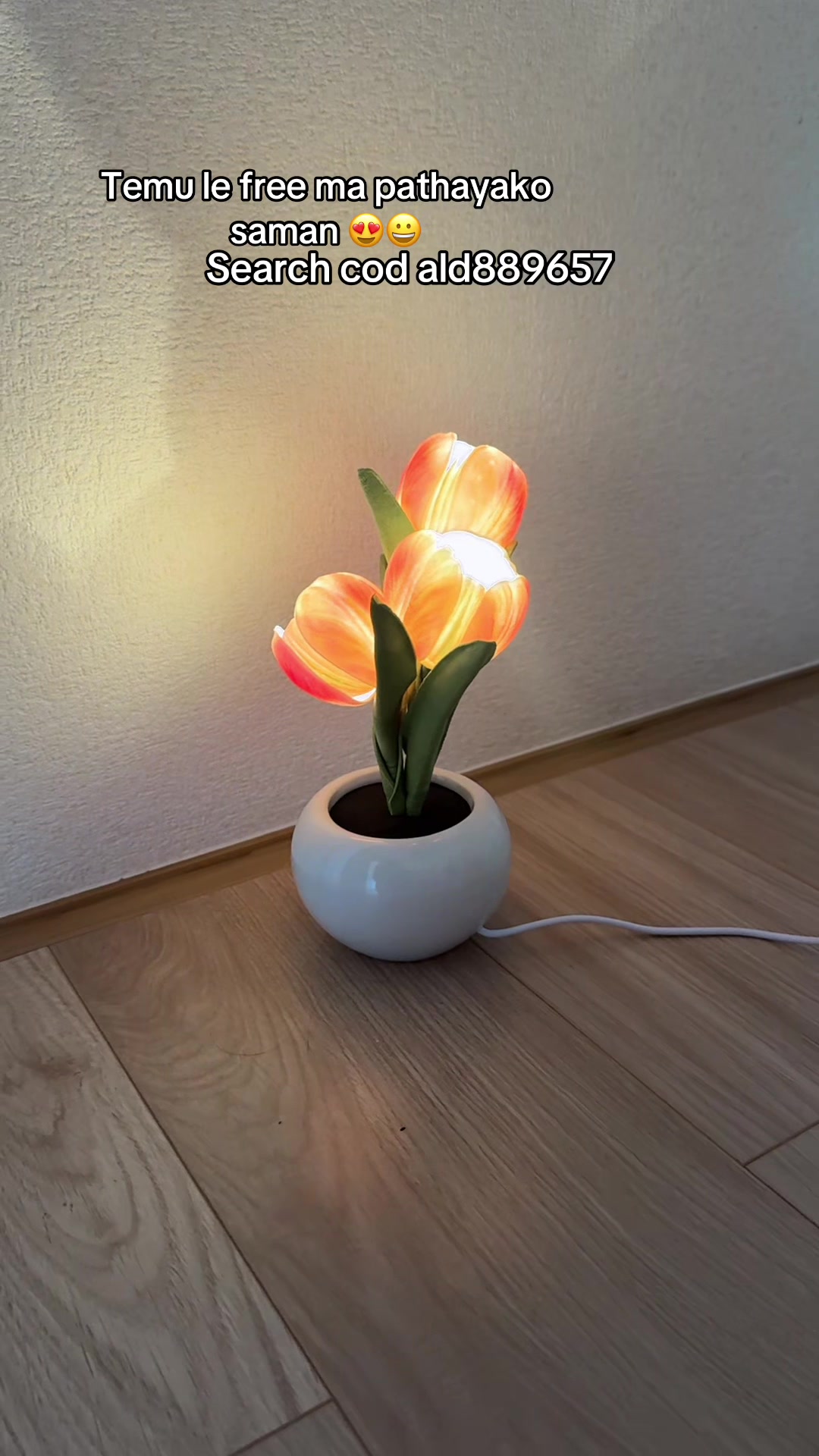 @Niru🌝