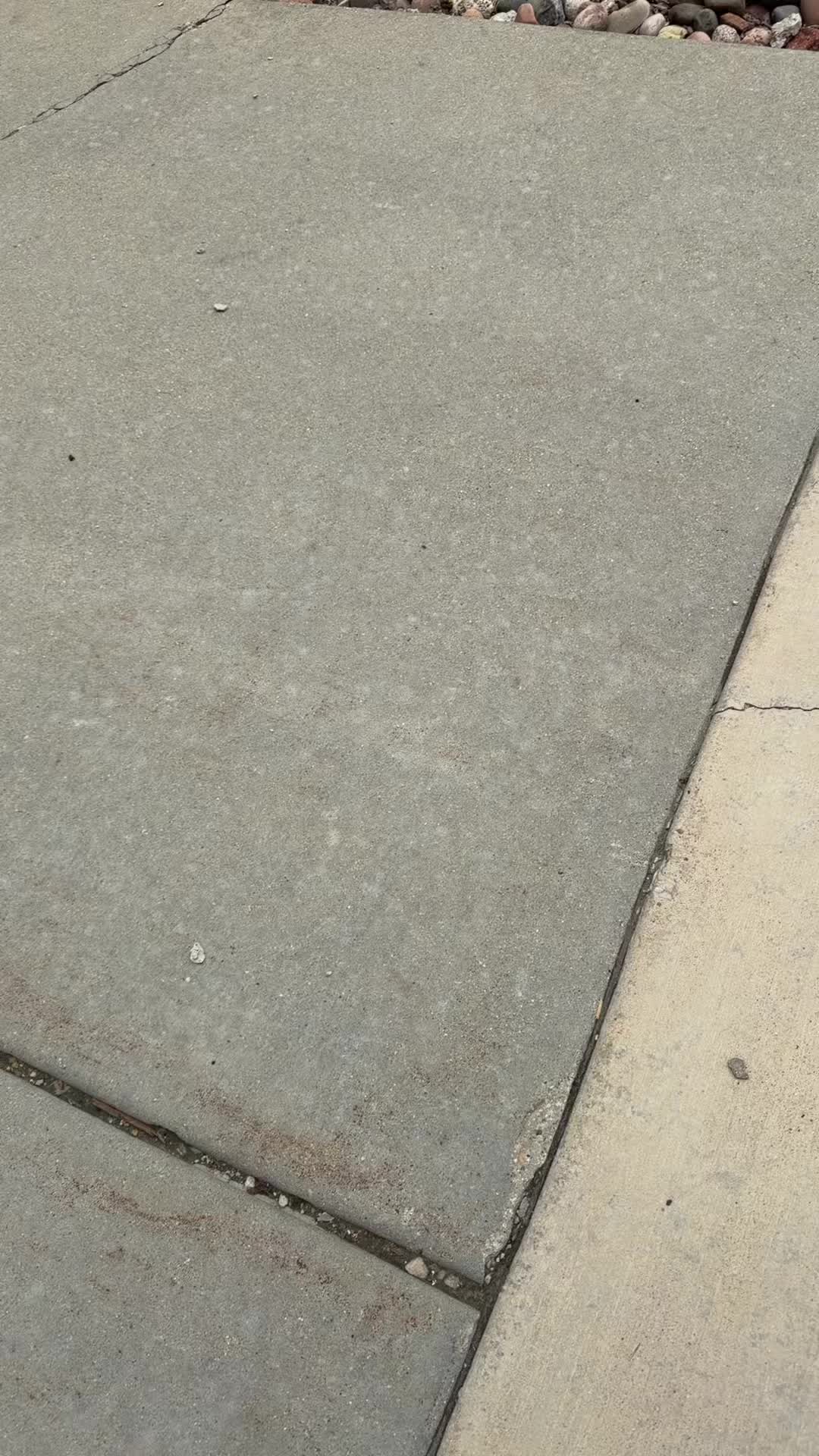 @theyoungestpharaohs