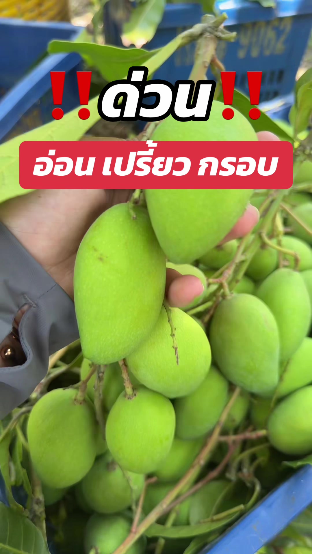 @อาหารตากแห้ง