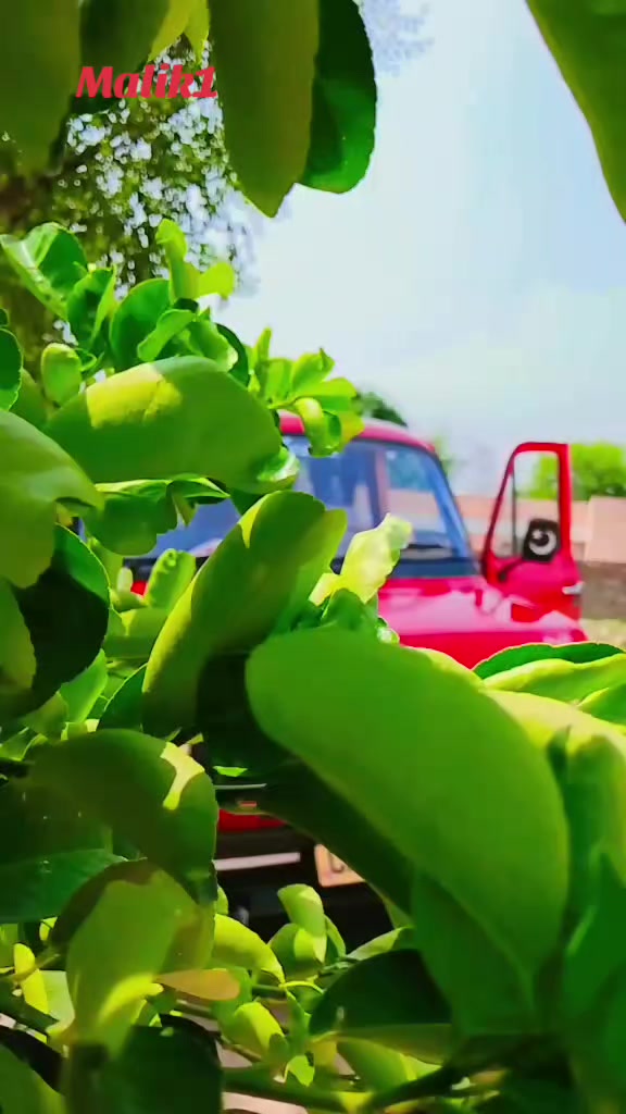 @ملک آصف