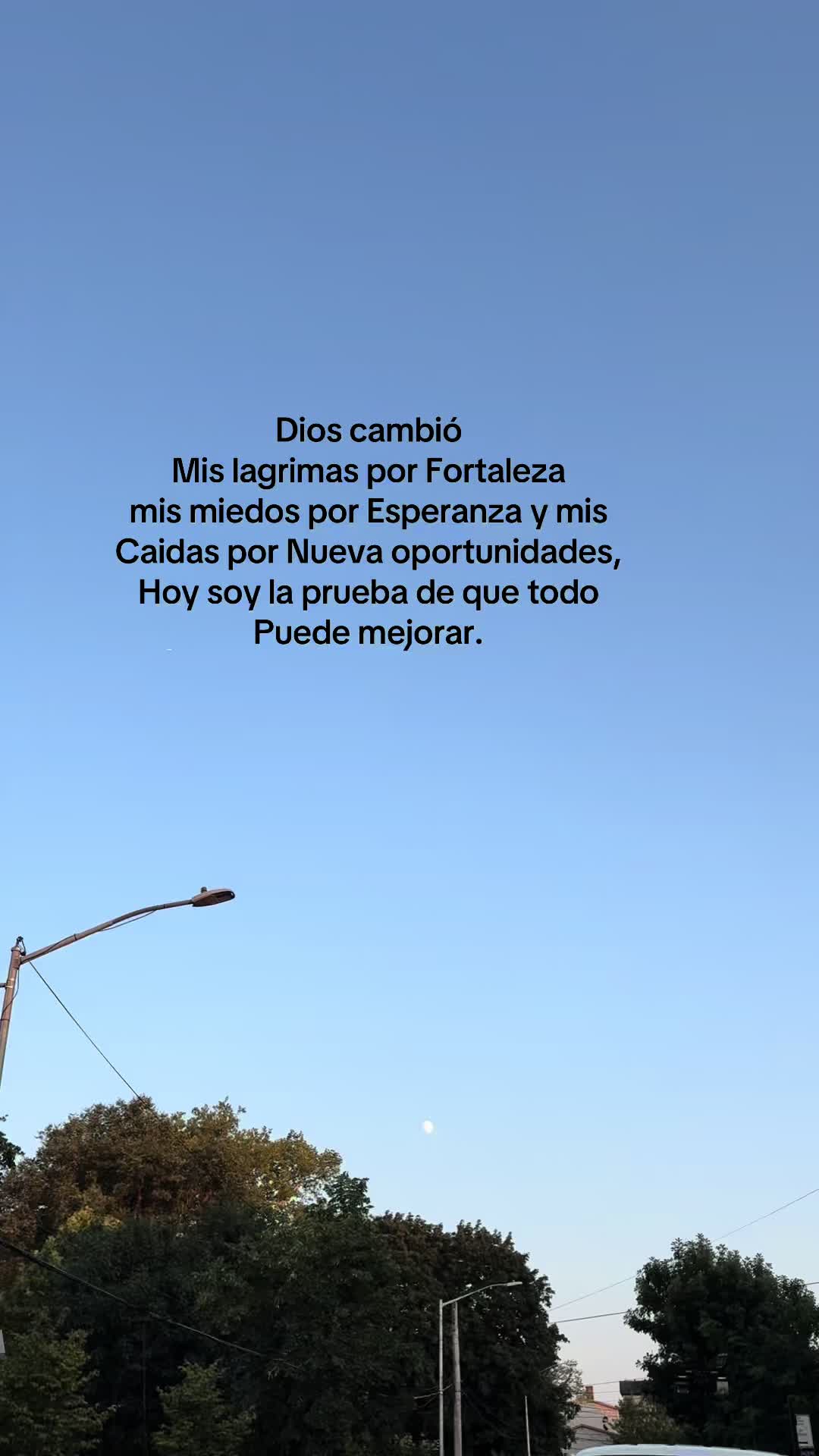 @MariBel C