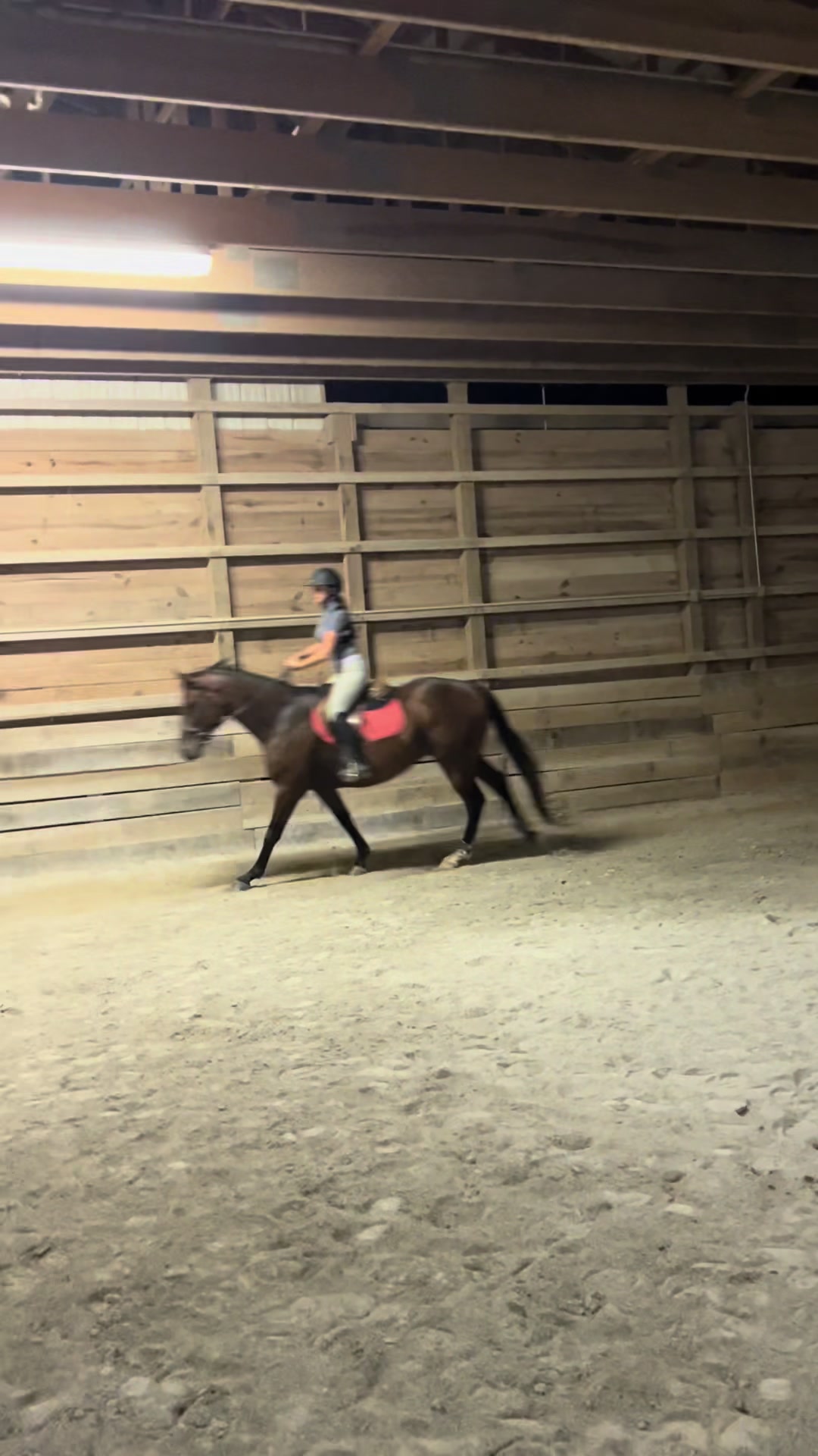 @Aftyn 🐎