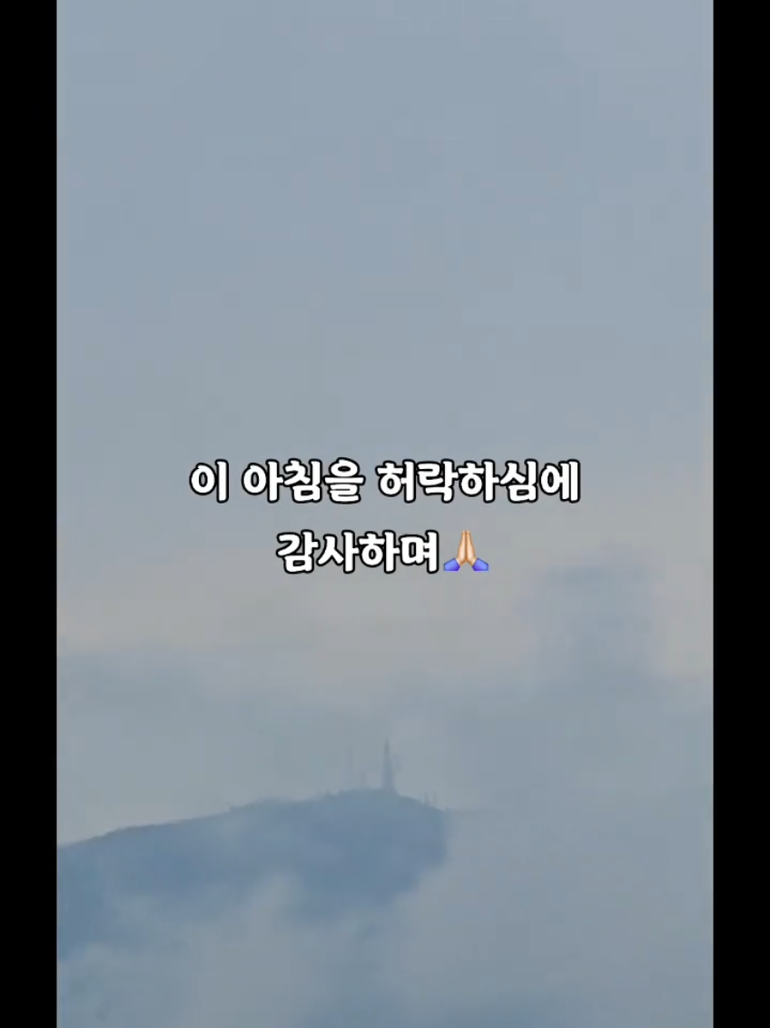 @복이🌲🌲🌲