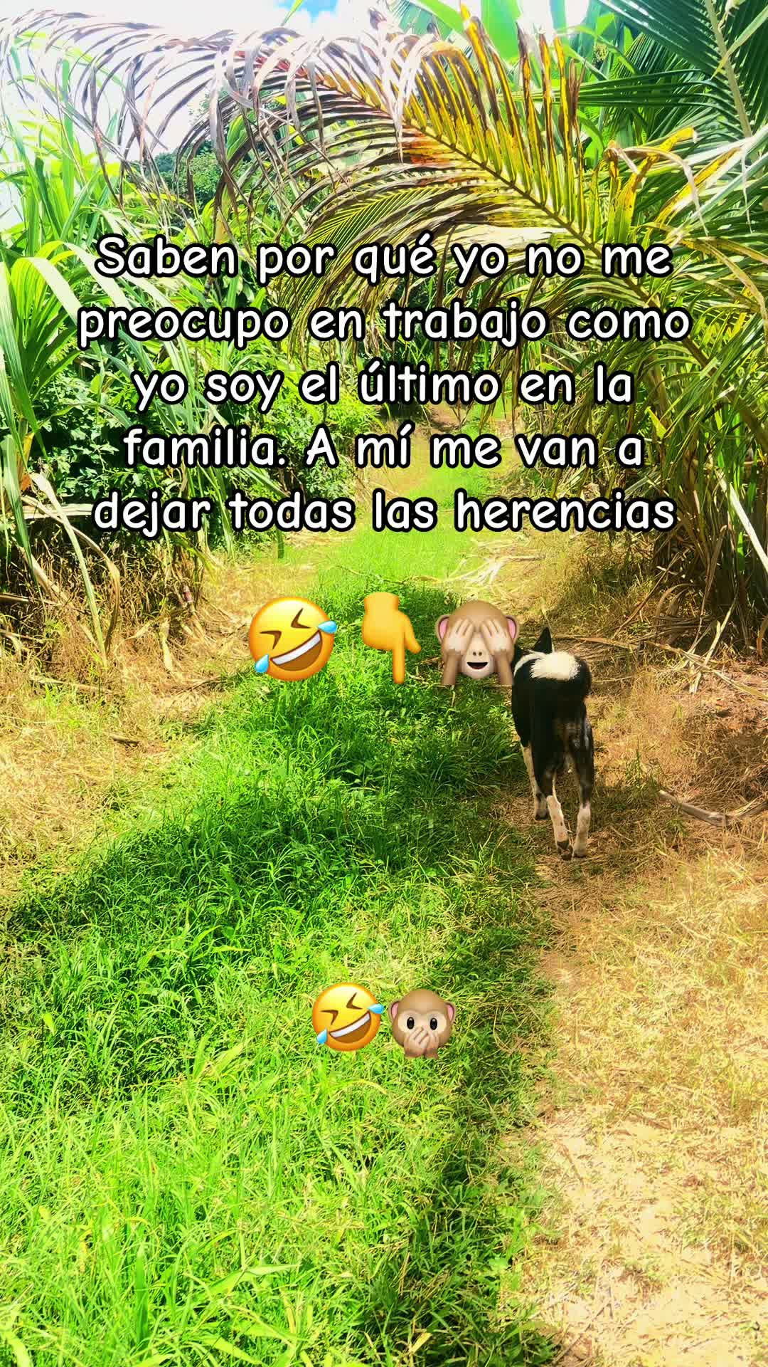 @guadalupetursios8