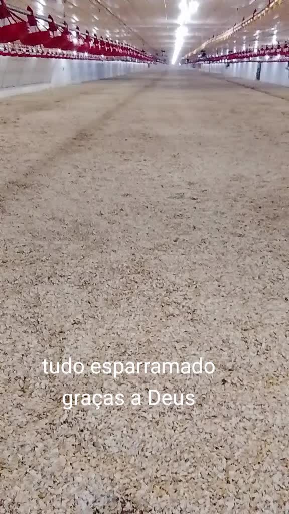 @Priscila de Fátima