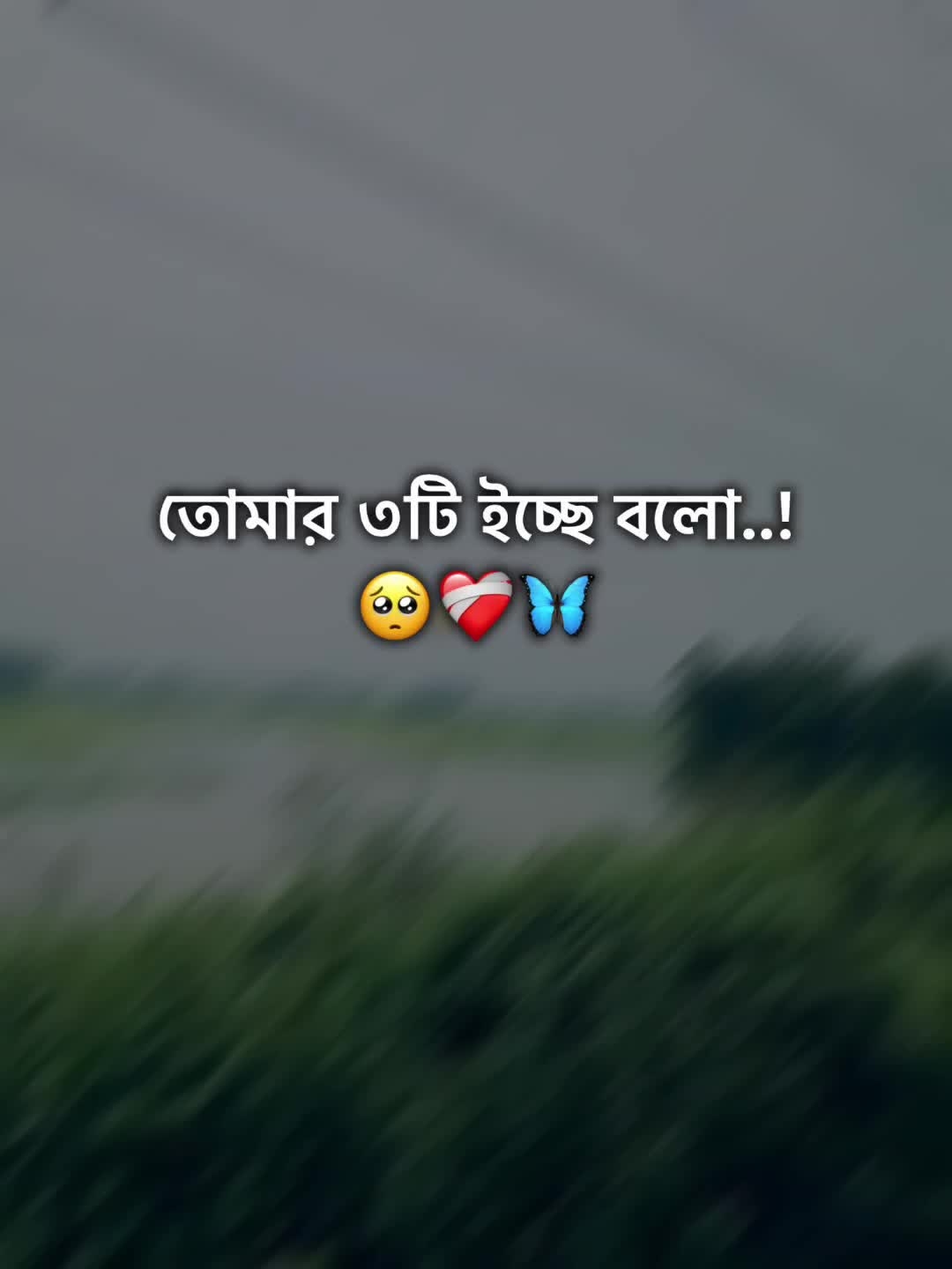 @Ew'r_Shuvo_🦋🖤