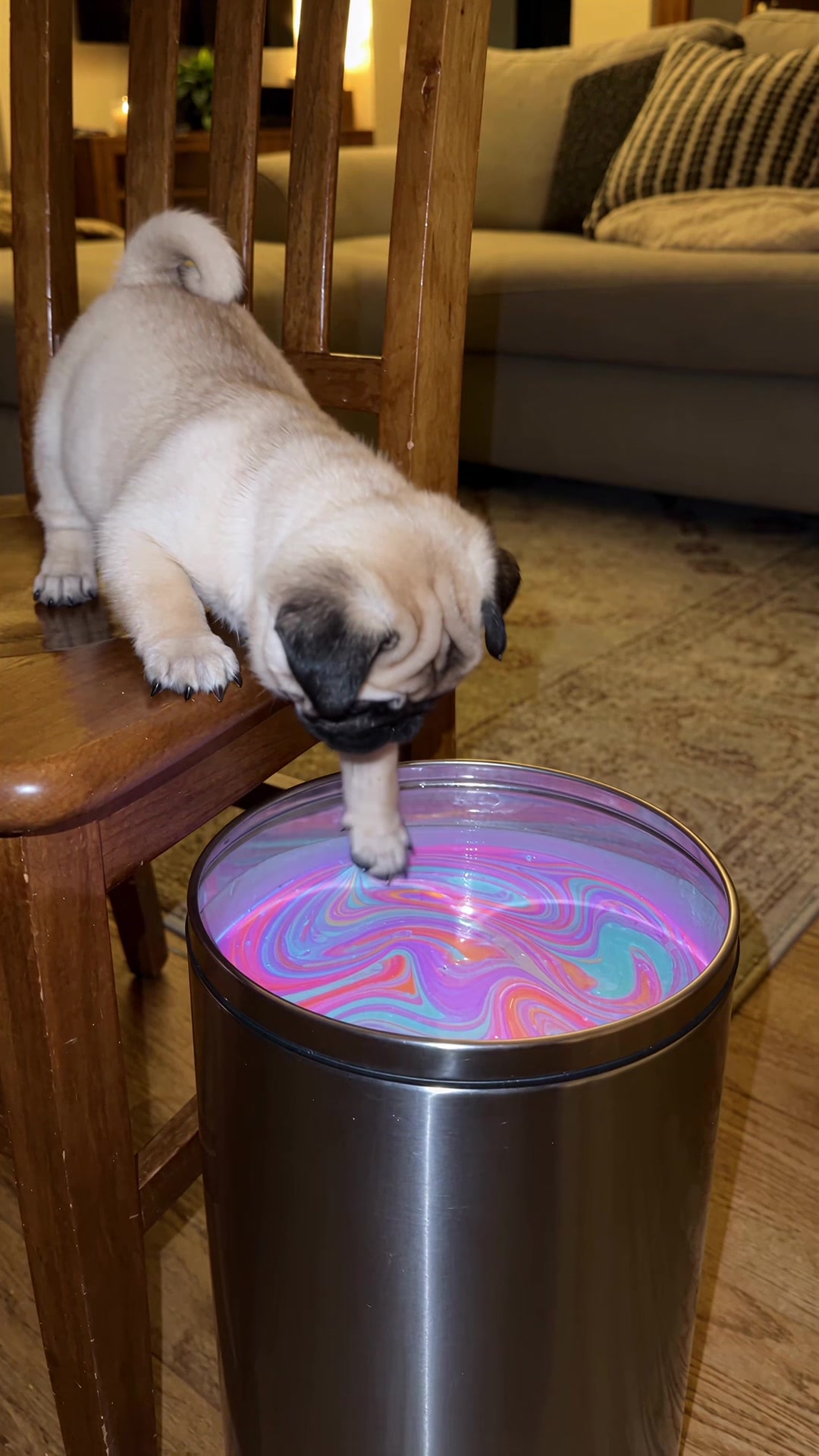 @Lucas The Pug
