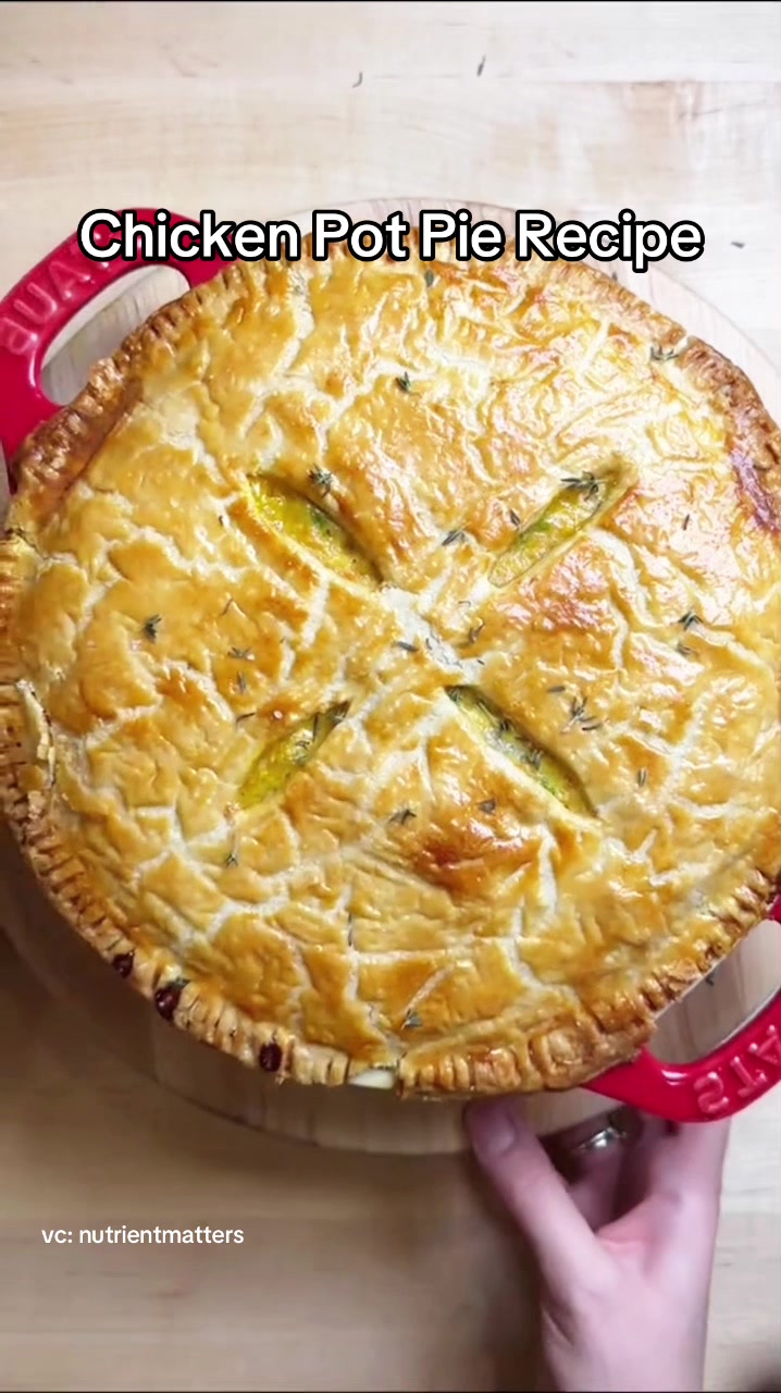 @The TikTok Cook Book