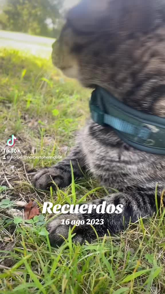 @Norberto Norberto Henr&iacute;quez