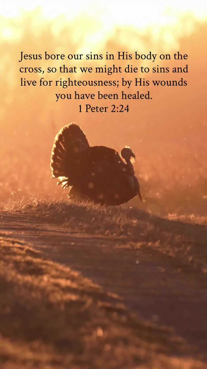 @Buckmasters Outdoors