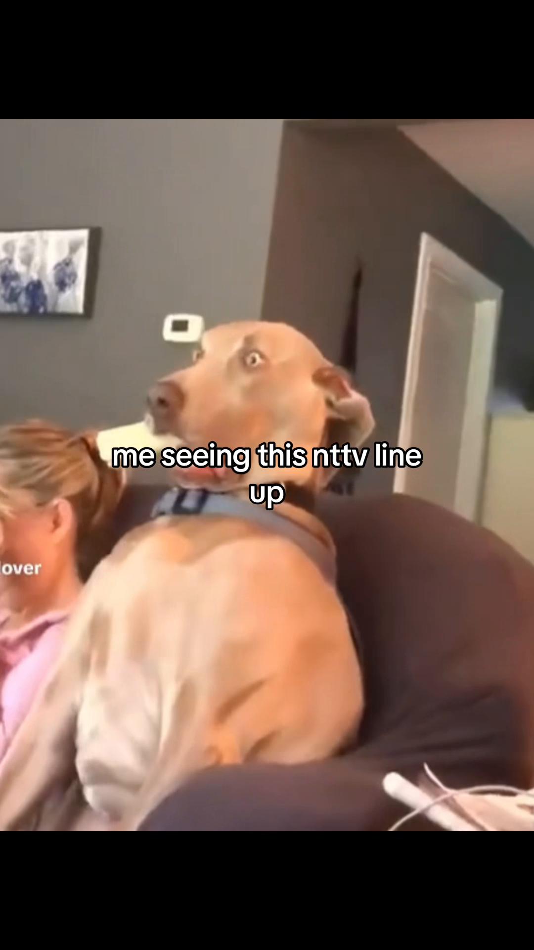 @toodie