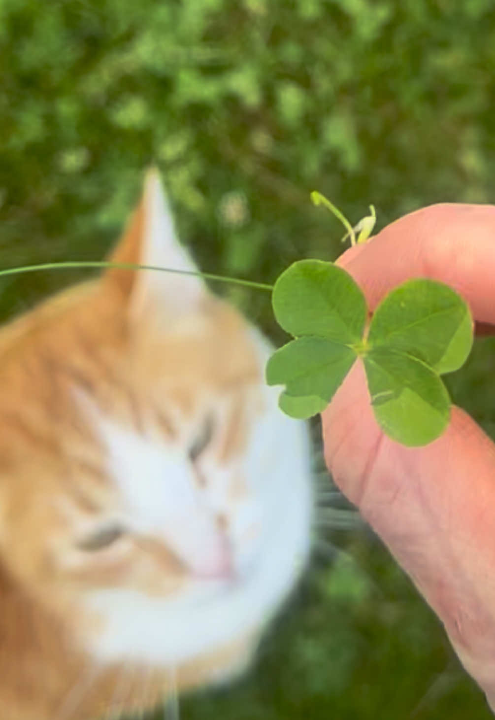 @Britt🍀