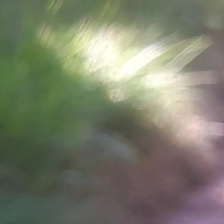 @✰✰✰✰