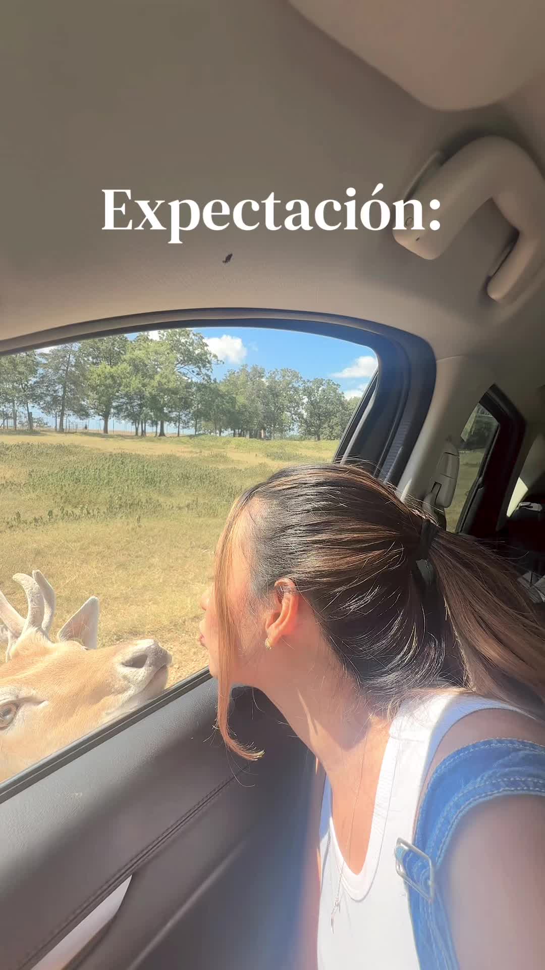 @katherineparraless