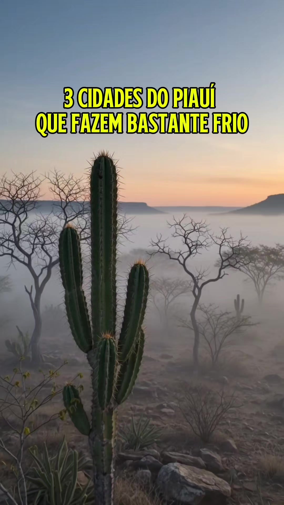 @Piauí Meu Amor
