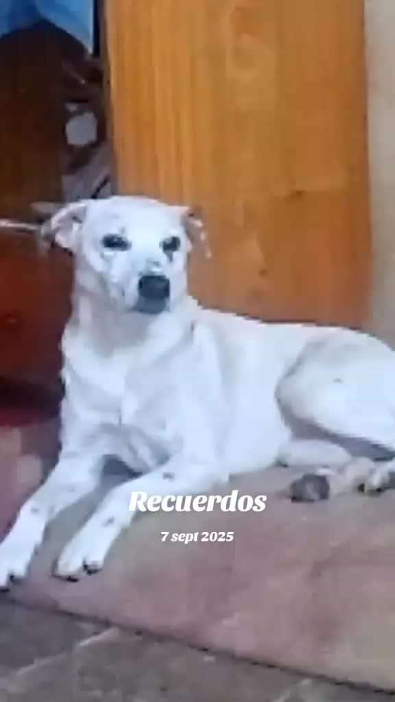 @Posadeña Linda 🇦🇷
