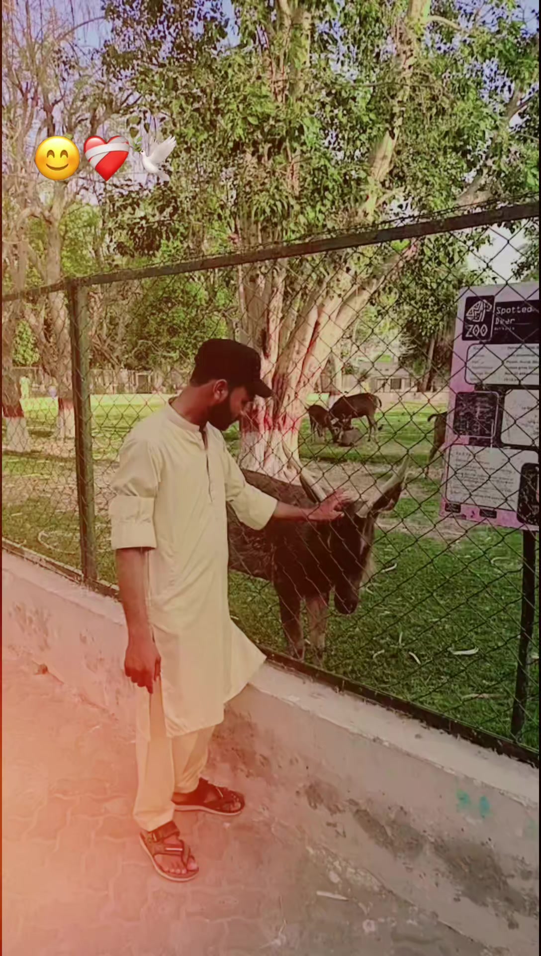 @Aryanmalik