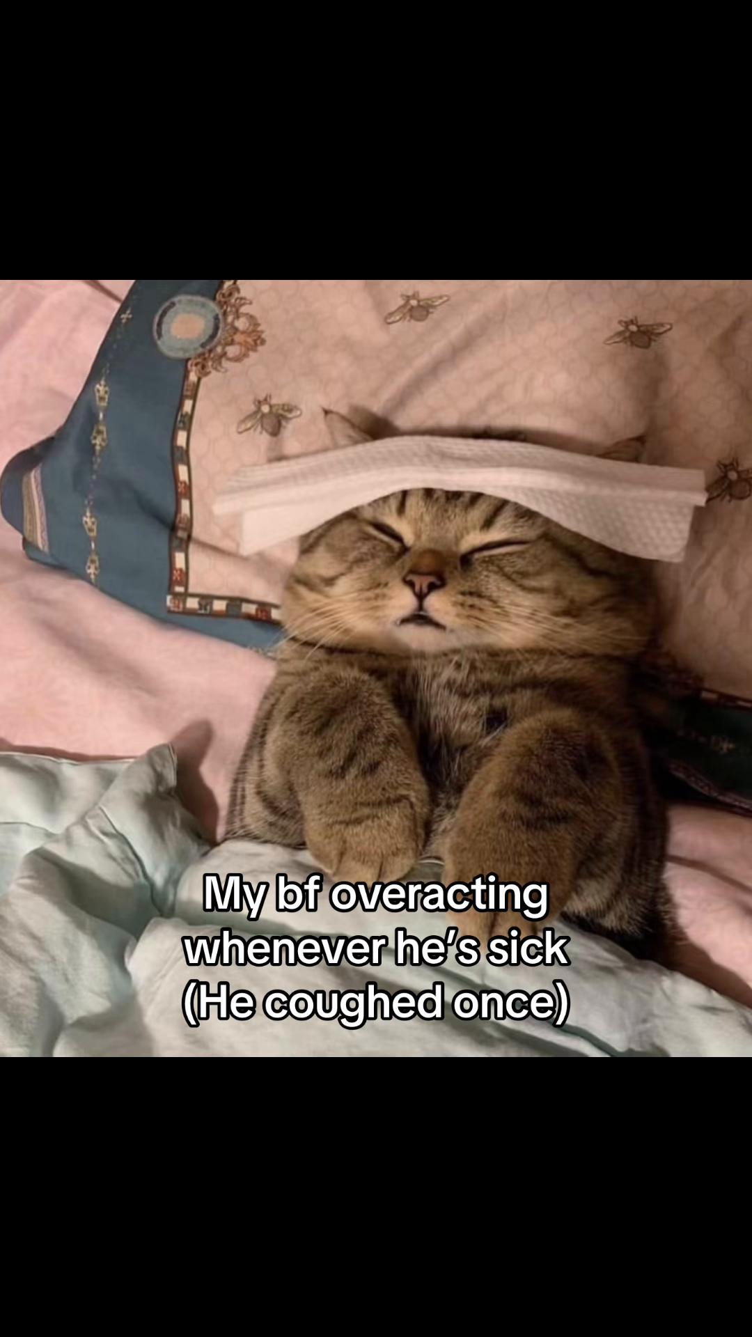 @LavanderCat