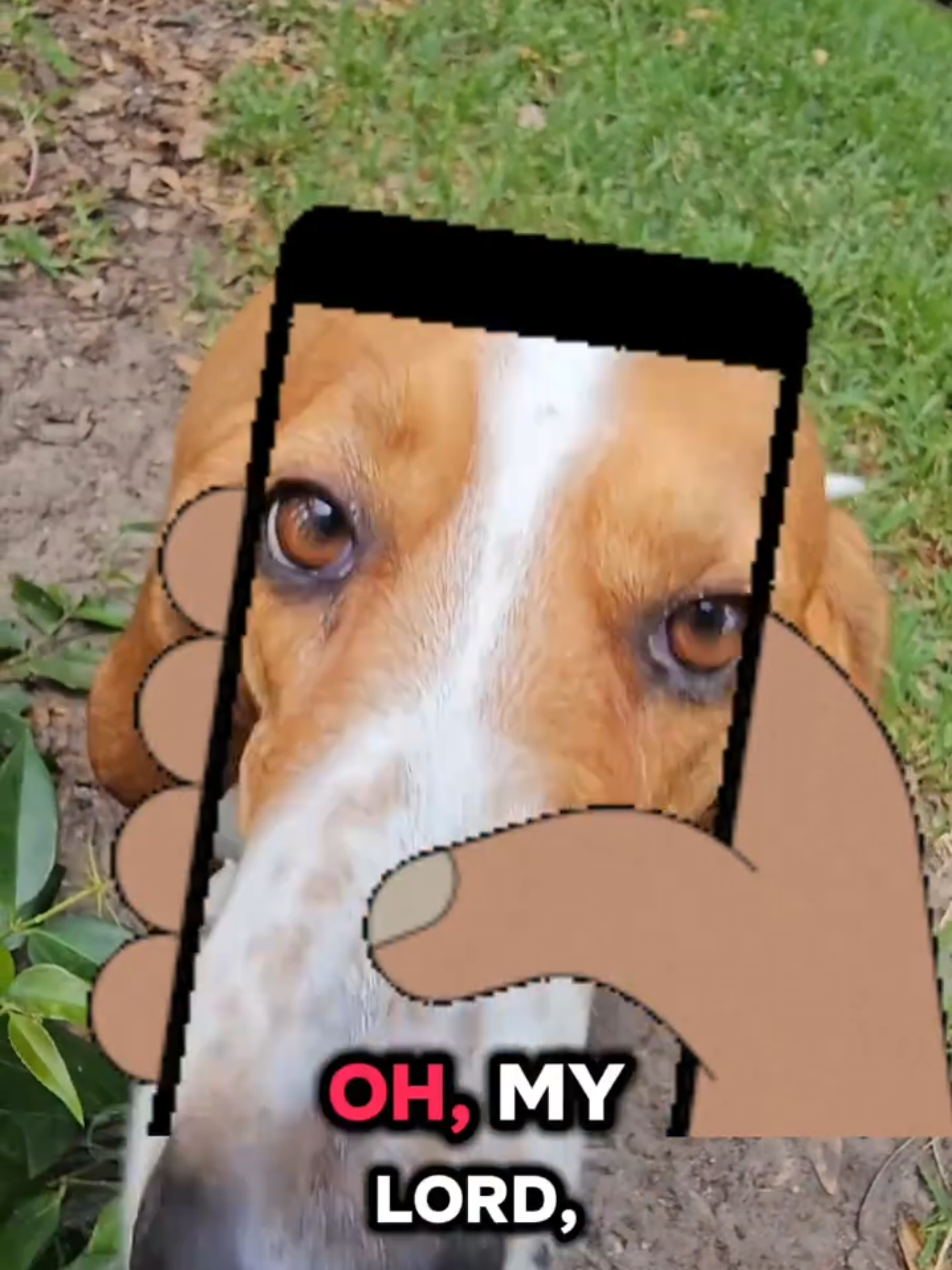 @The Belly Rub Hub