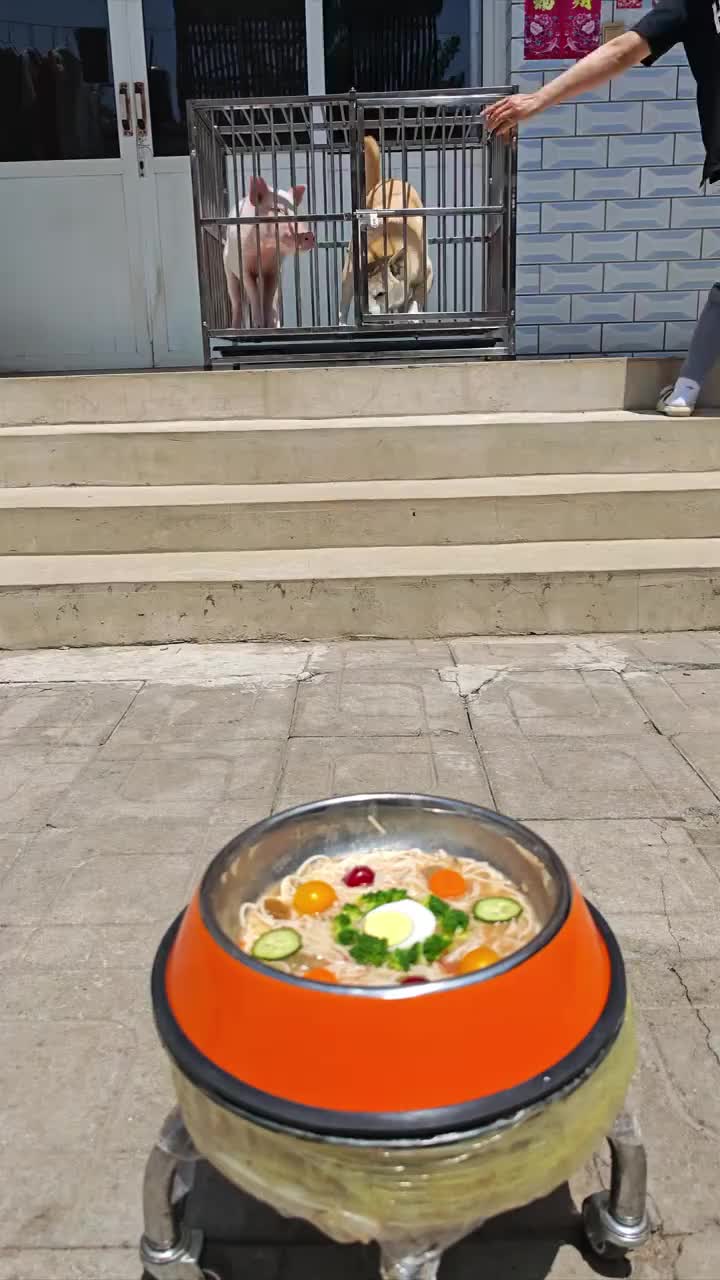 @Mia
