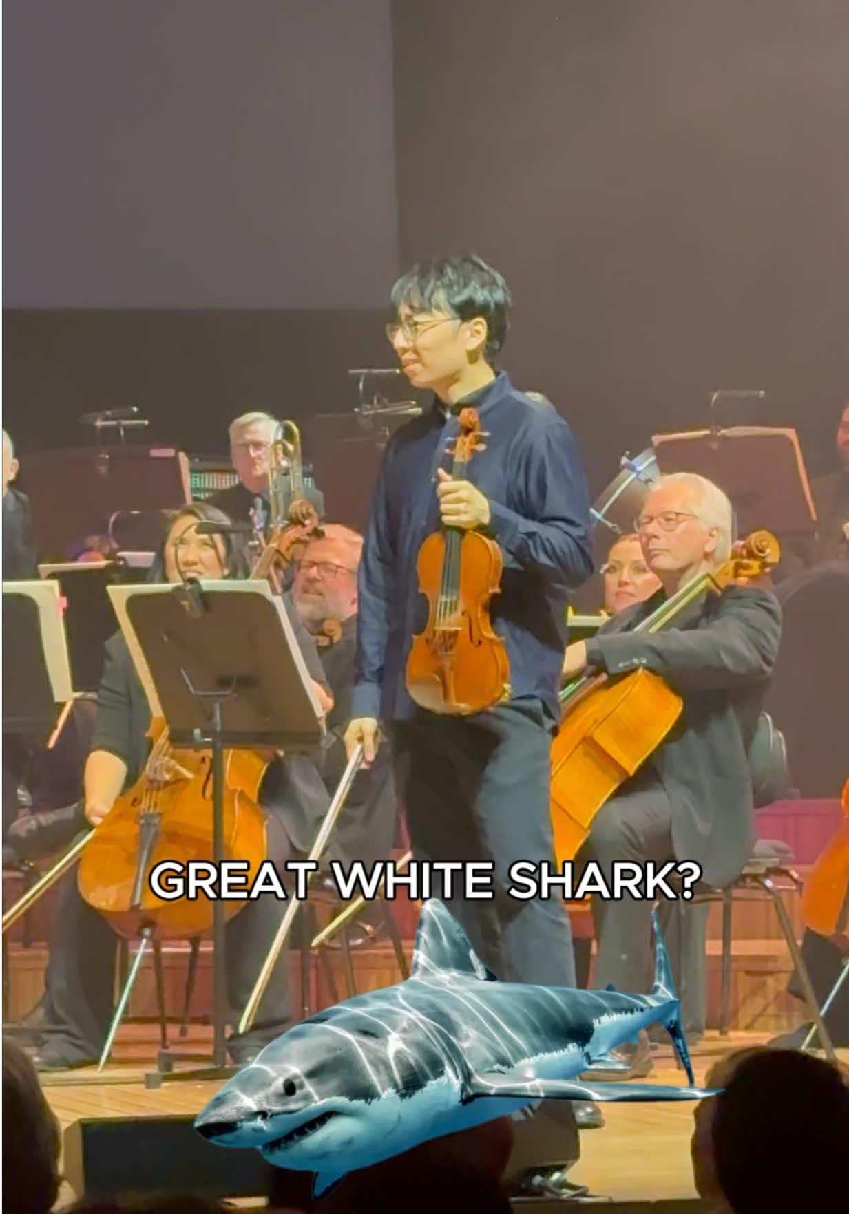 @twosetviolin