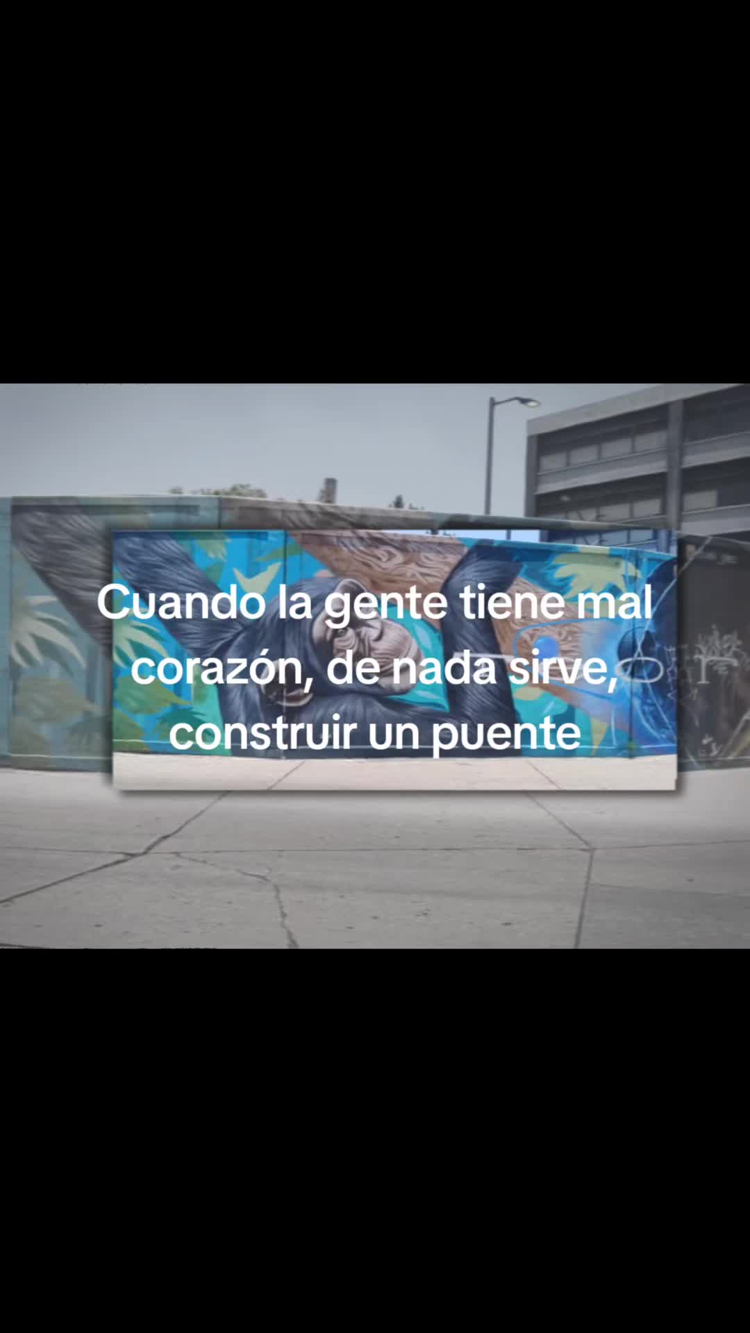 @Mini bosque