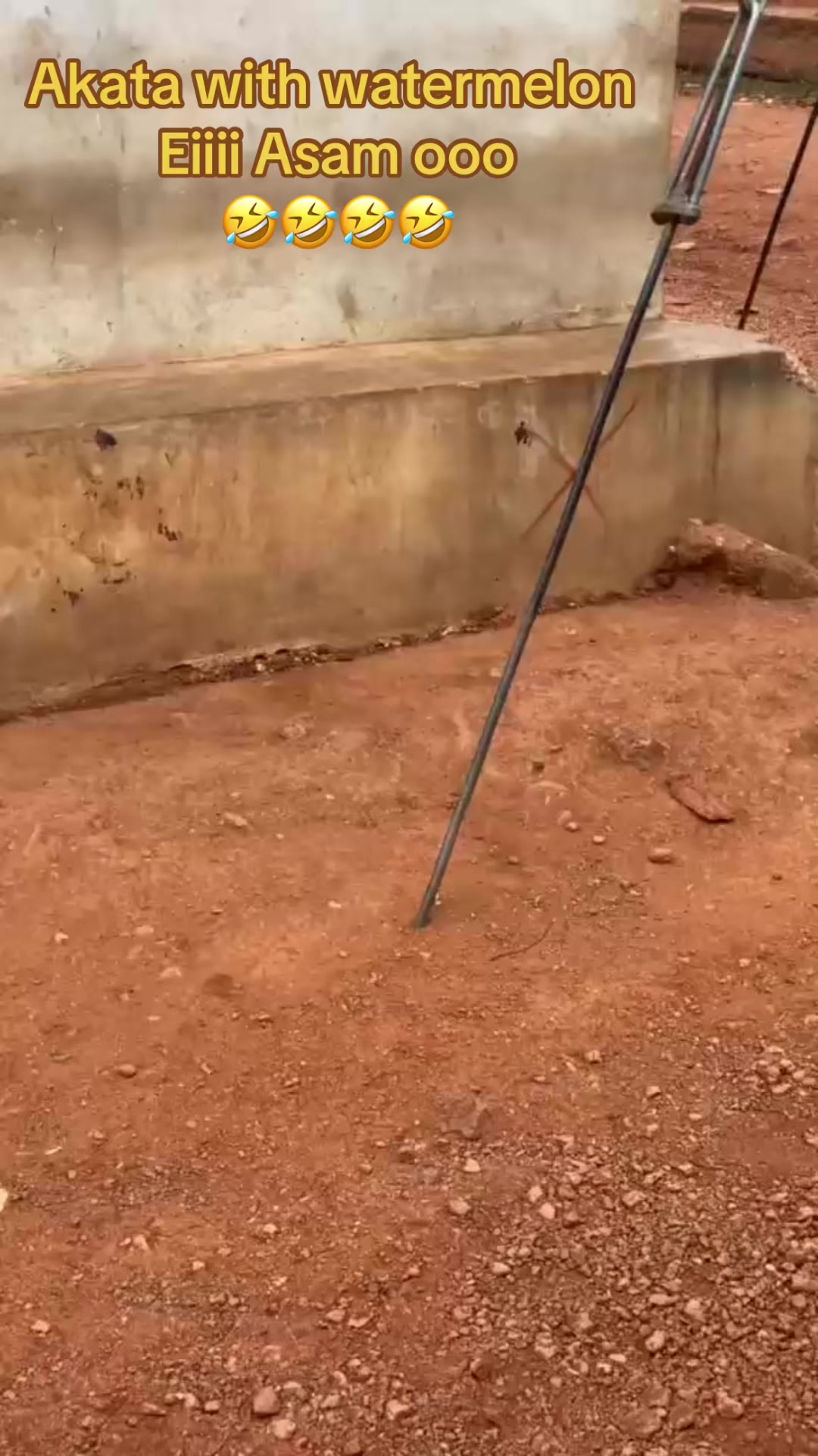 @jur kawabanga