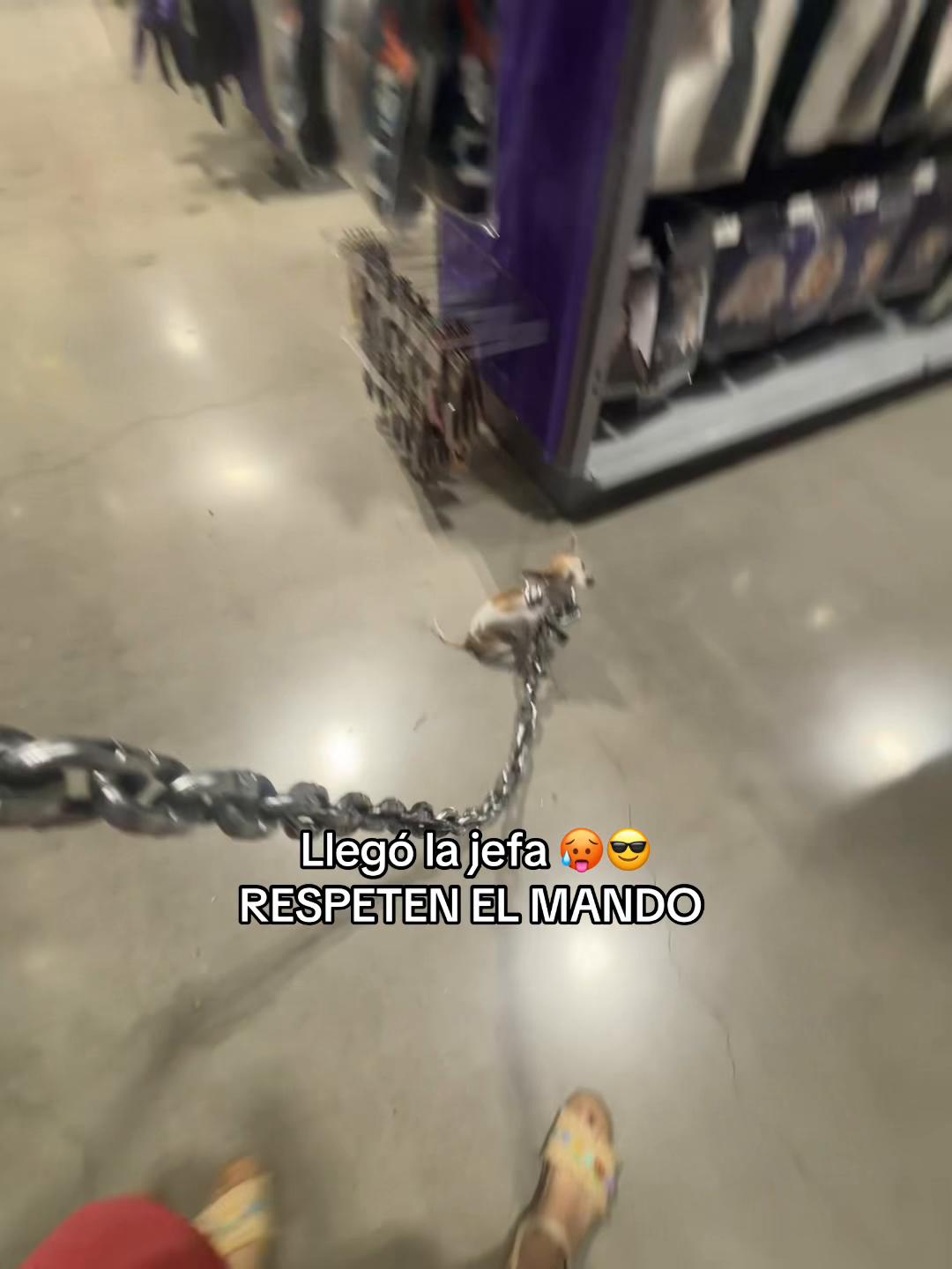 @☾ ⋆⭒˚.⋆ 𝒜𝓻𝓪 ⋆⭒˚.⋆𖤓