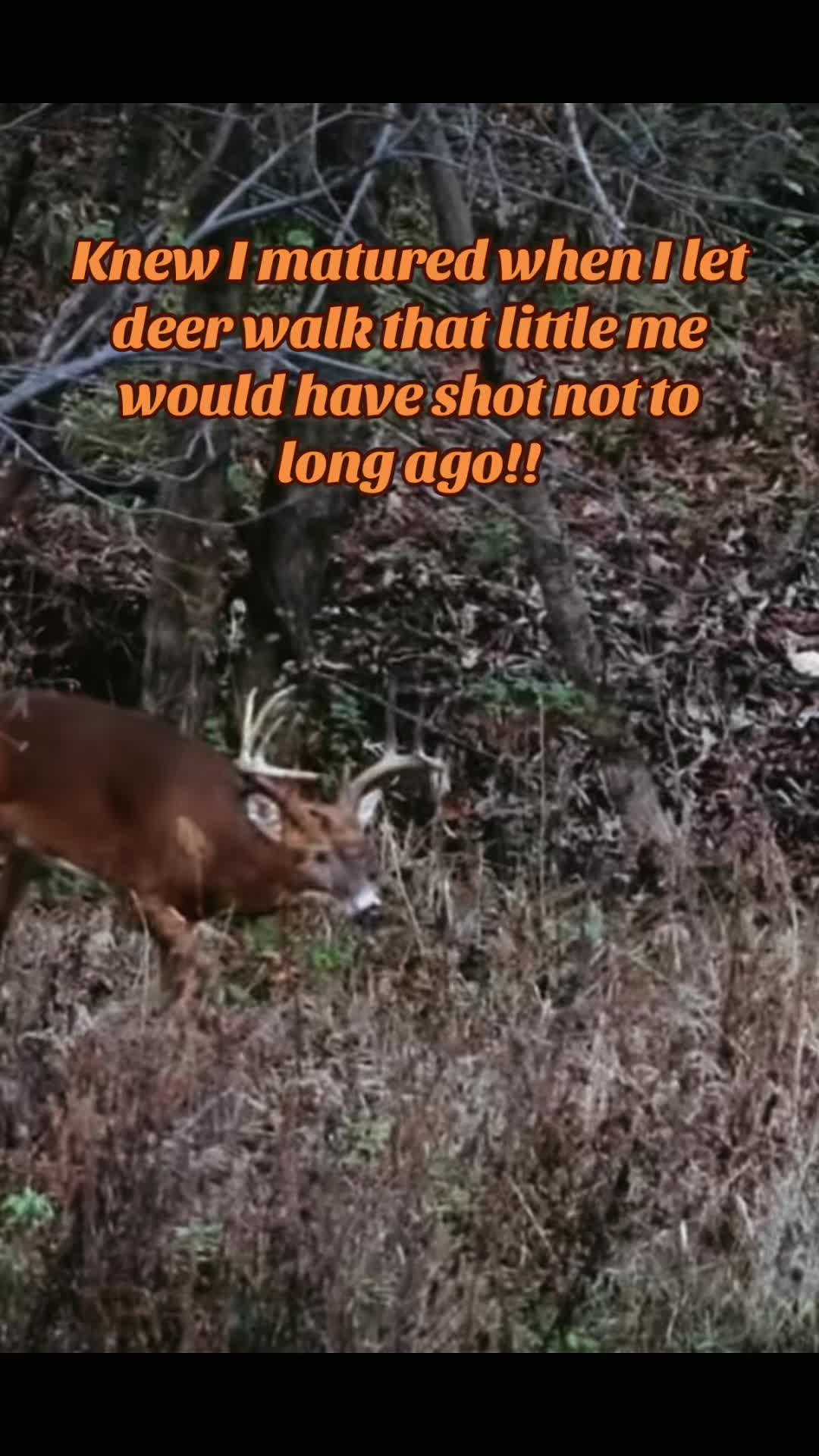 @🦌 Megabucks Outdoors 🦌