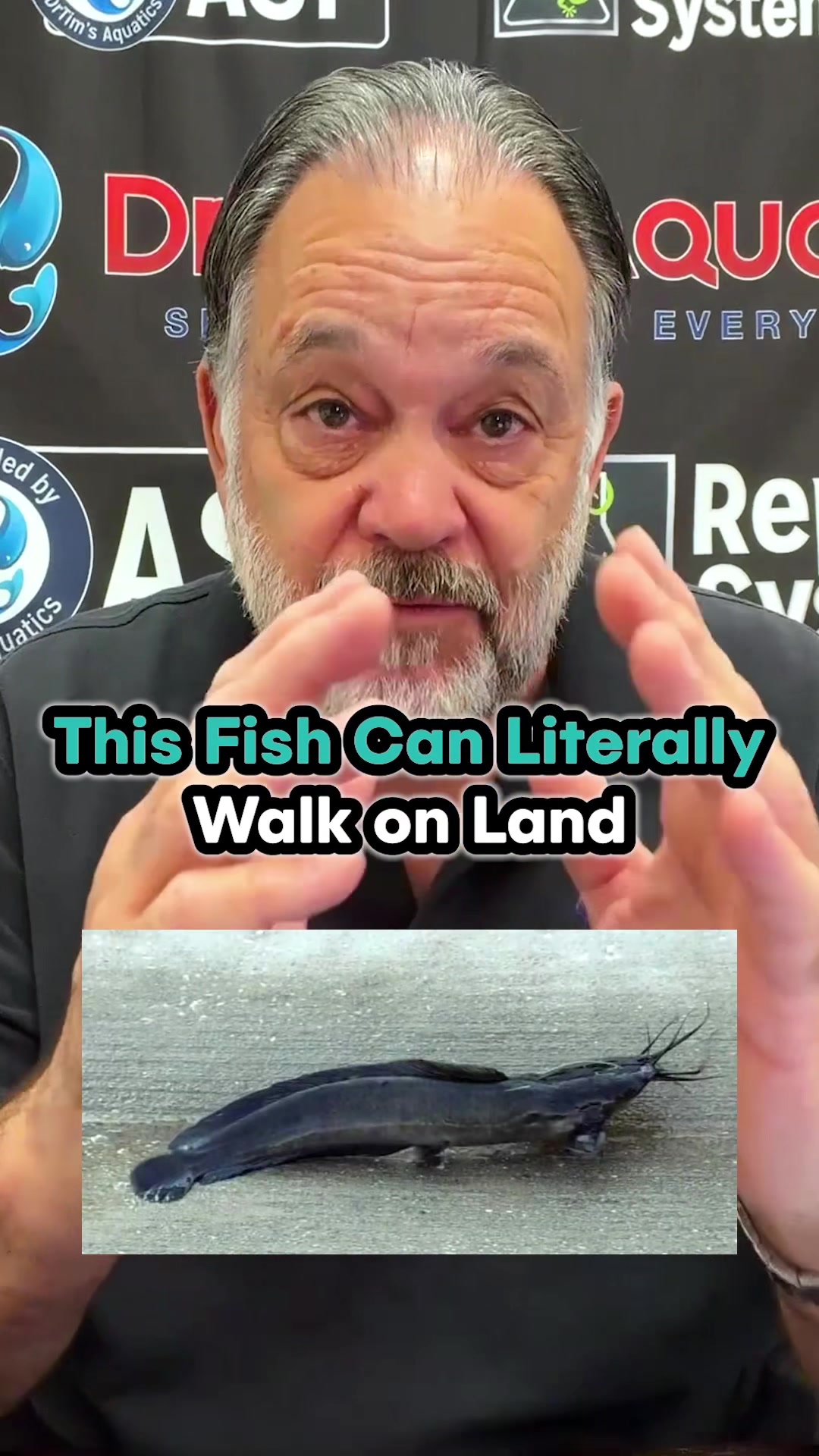 @DrTim