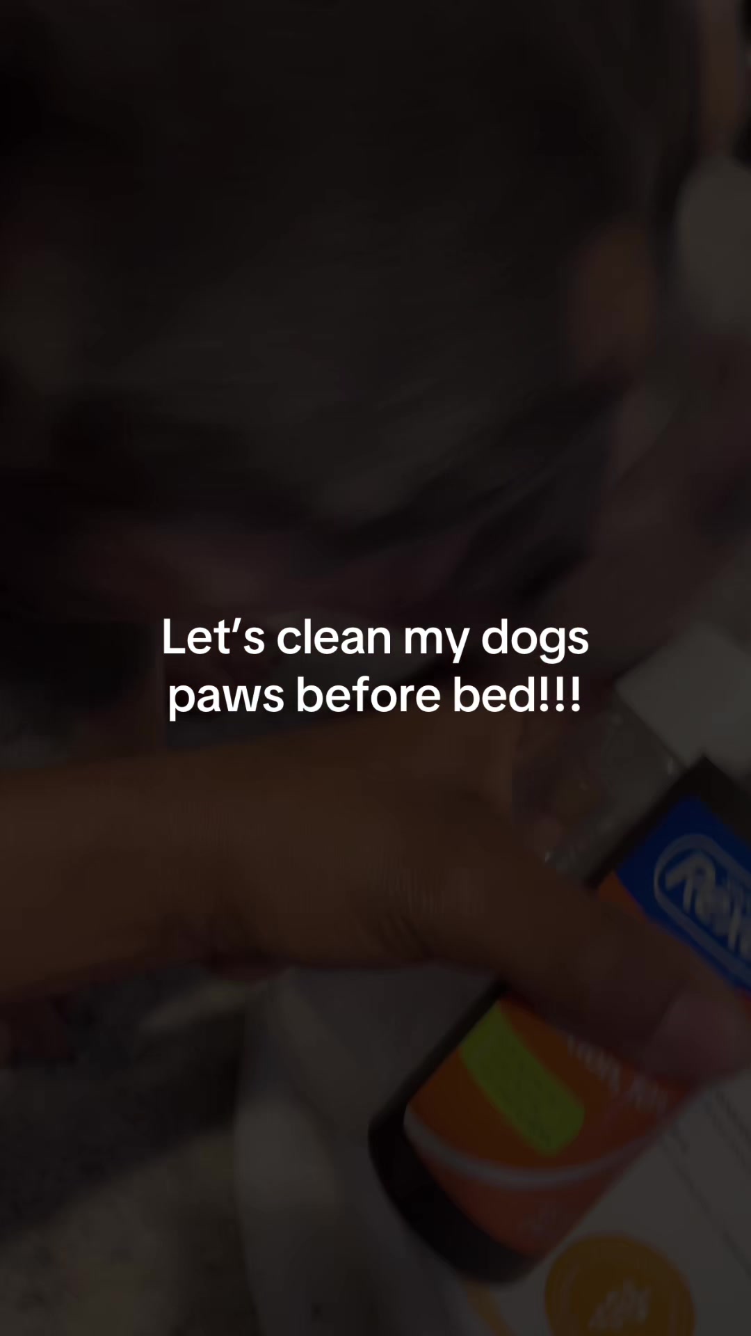 @gardnerkennel08