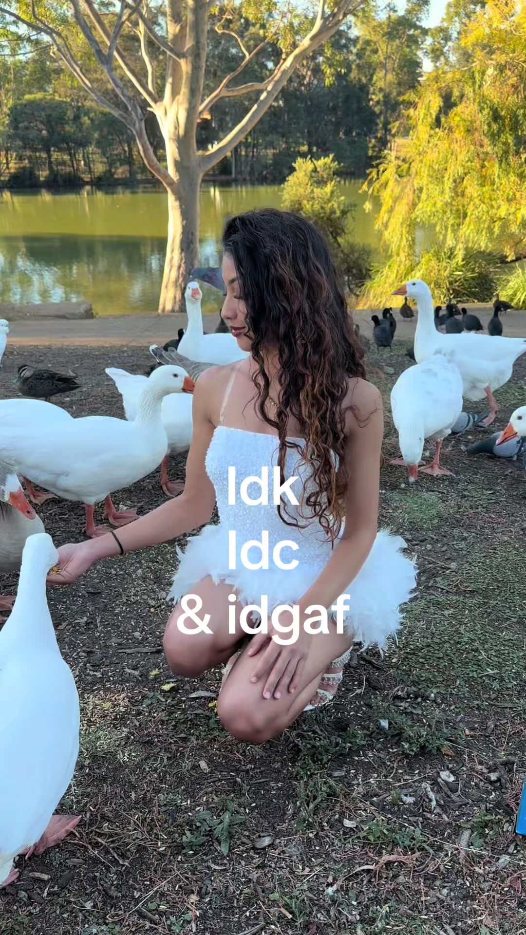 @🐈&zwj;⬛