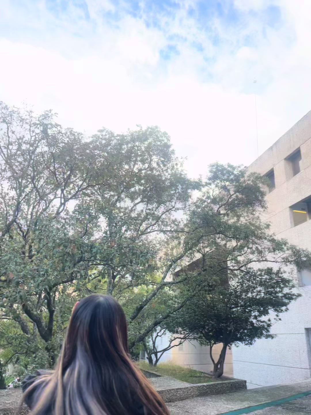 @andrea 🦋