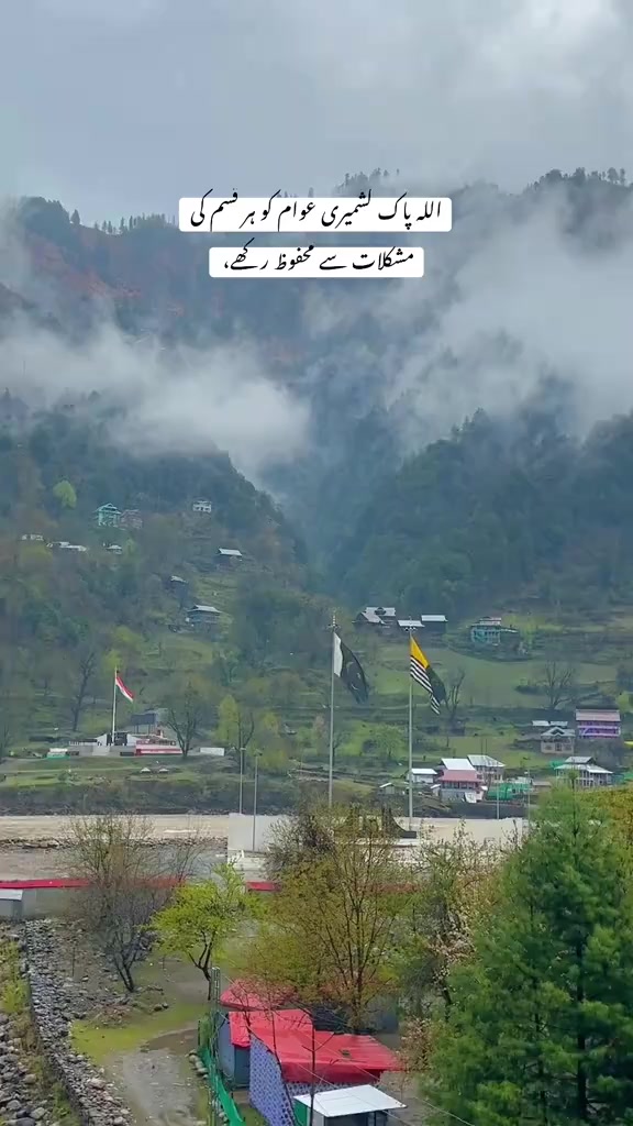 @راجہ شاہ رخ ایم ایس ایف