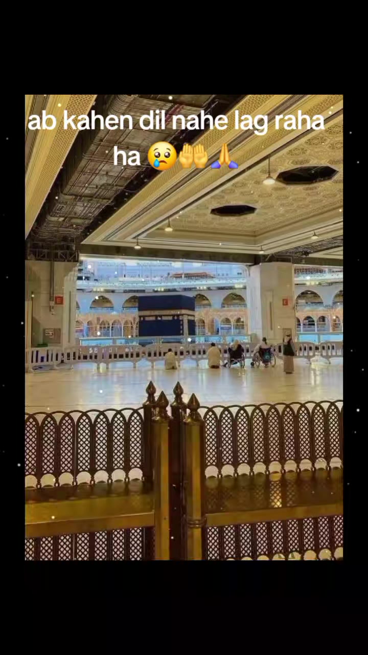 @Tania Raja