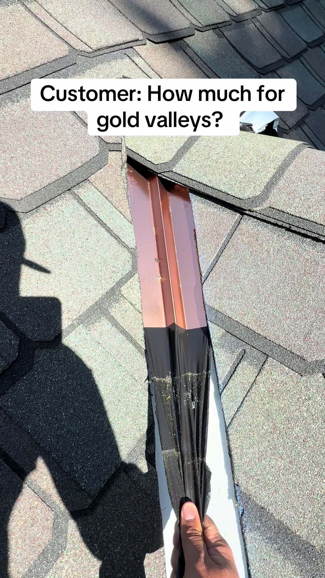 @Roofertiktok