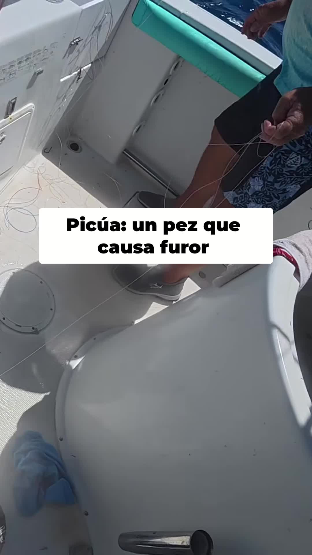 @Raul-Raul