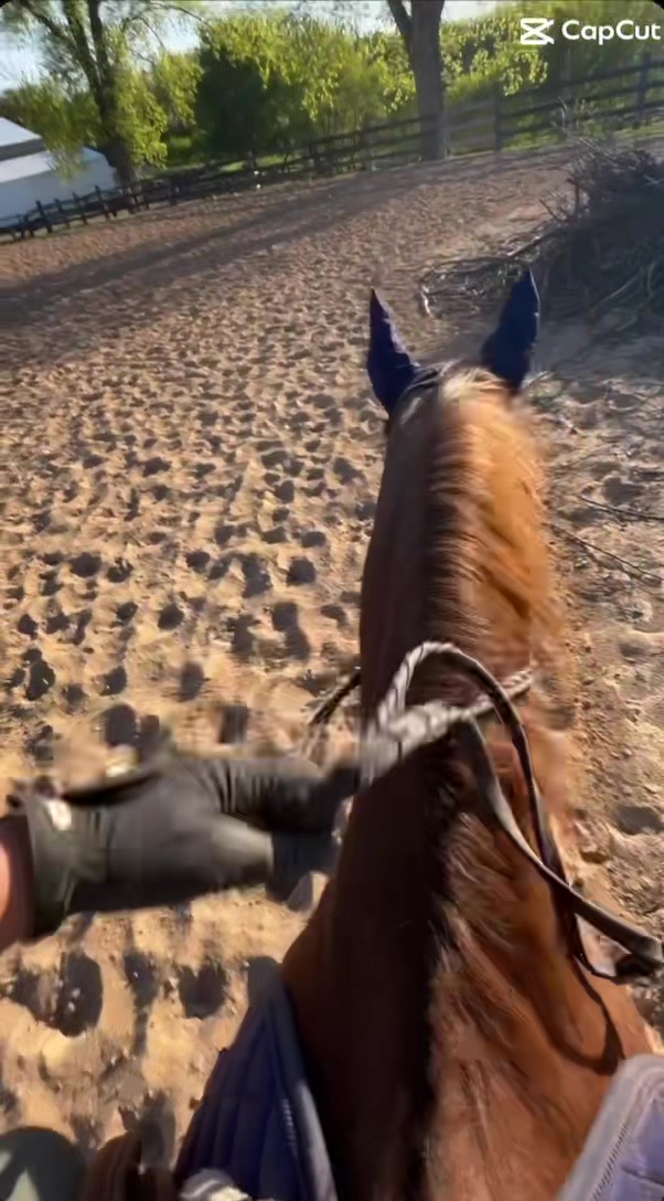 @keria_🌻🏇🏽💕