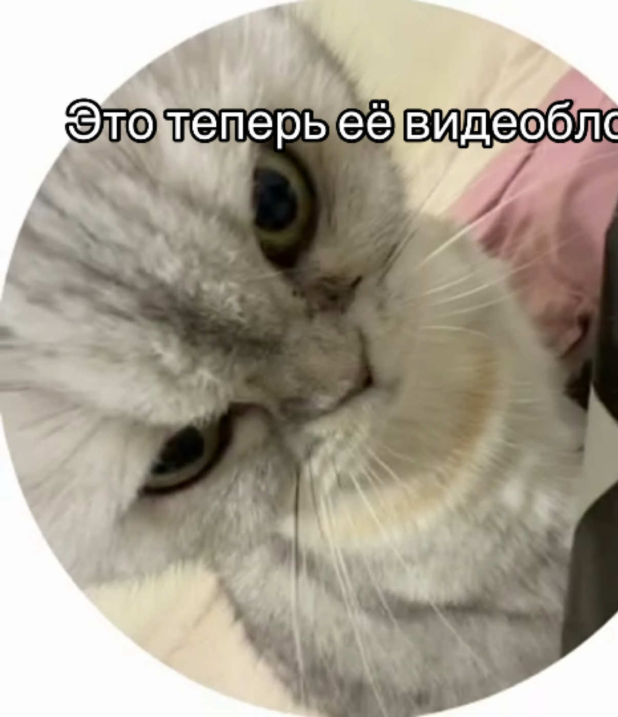 @lemka