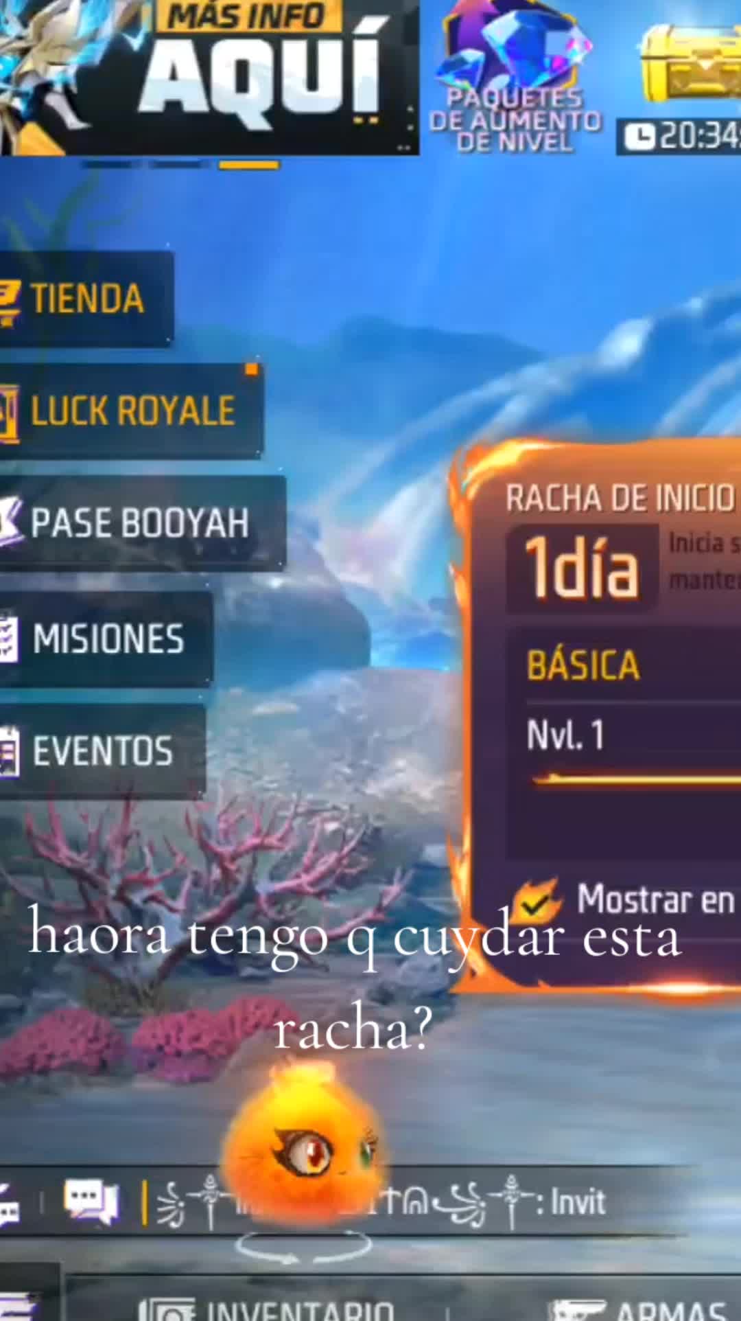 @El_doming