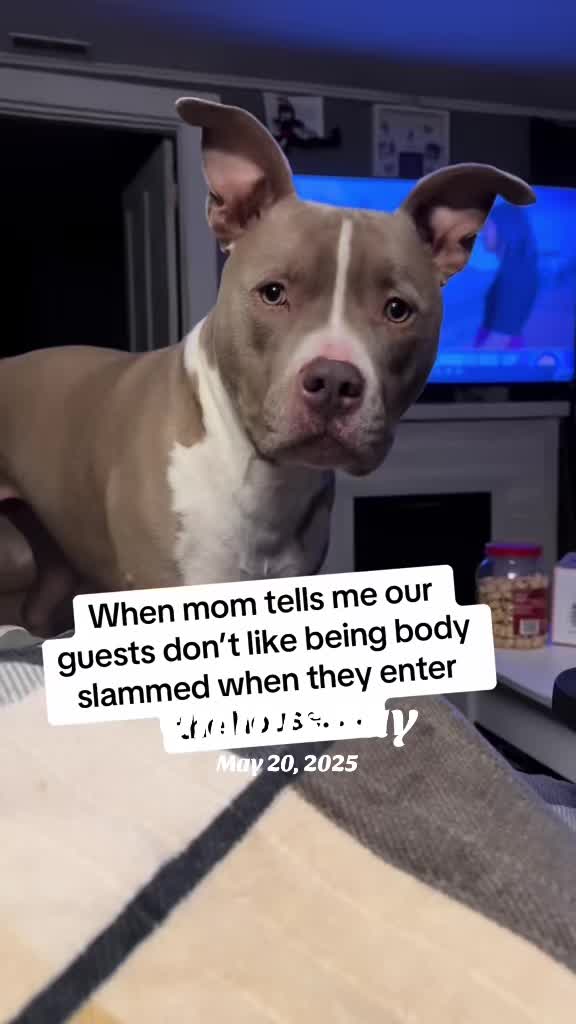@Pittie Mom