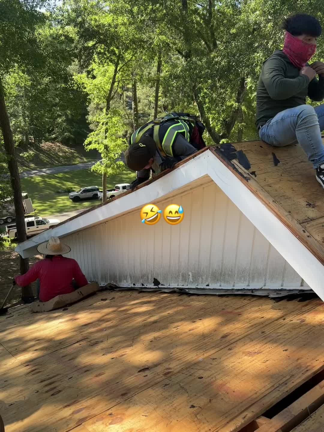 @Regie 21 plus 🐺🦉