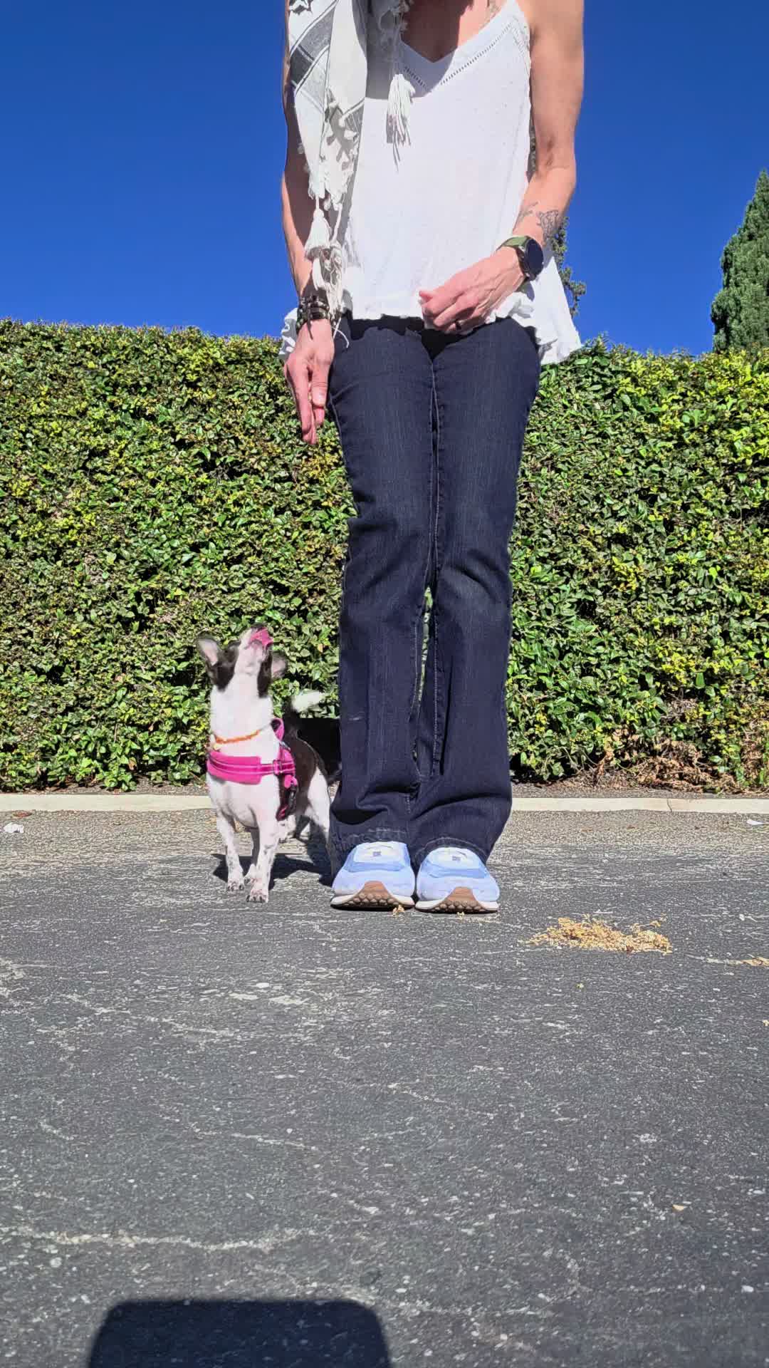 @𝕾𝖙𝖊𝖕𝖍𝖆𝖓𝖎𝖊