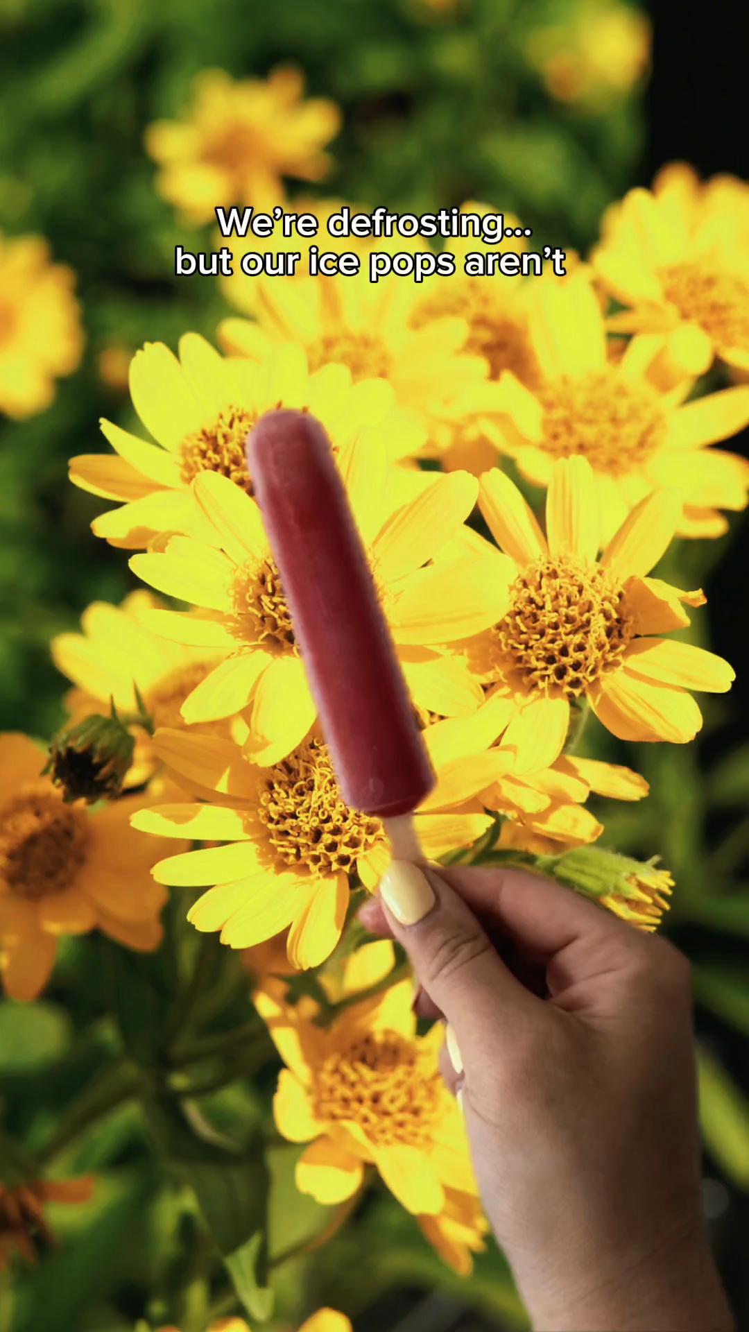 @Popsicle