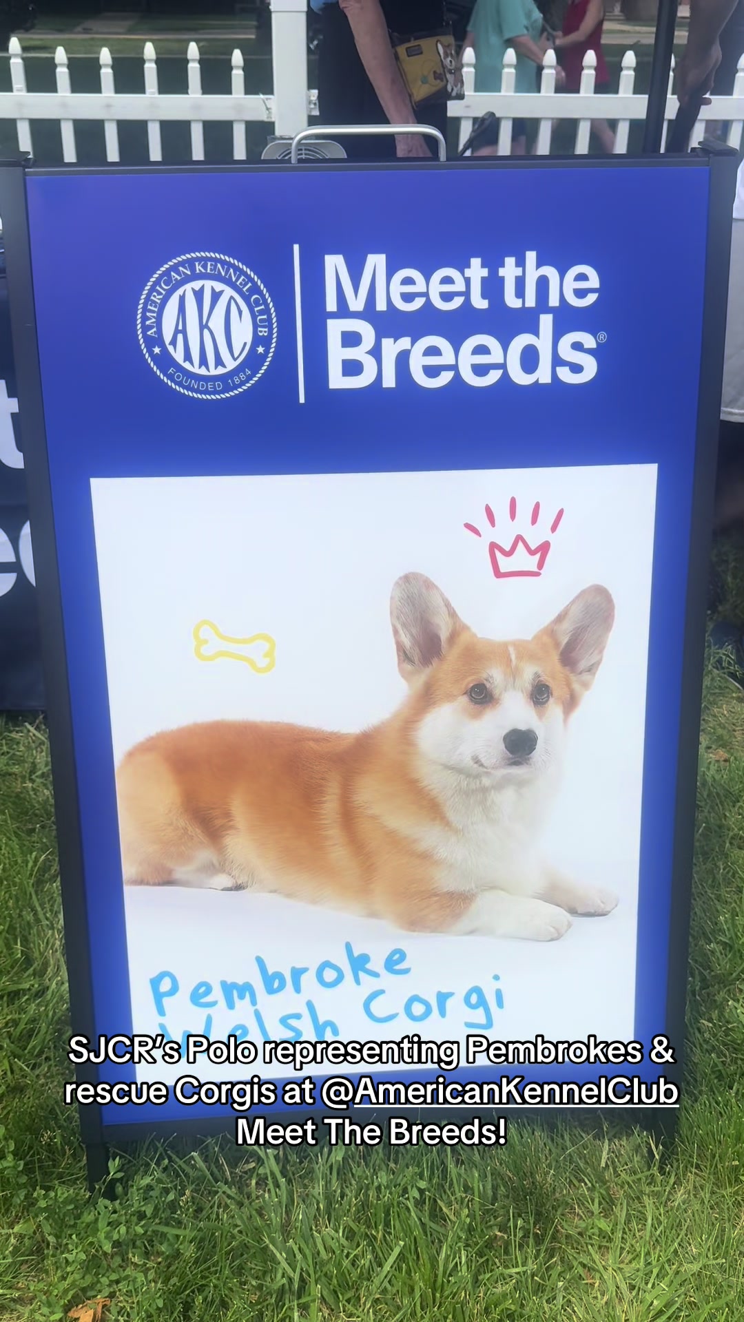 @South Jersey Corgi Rescue