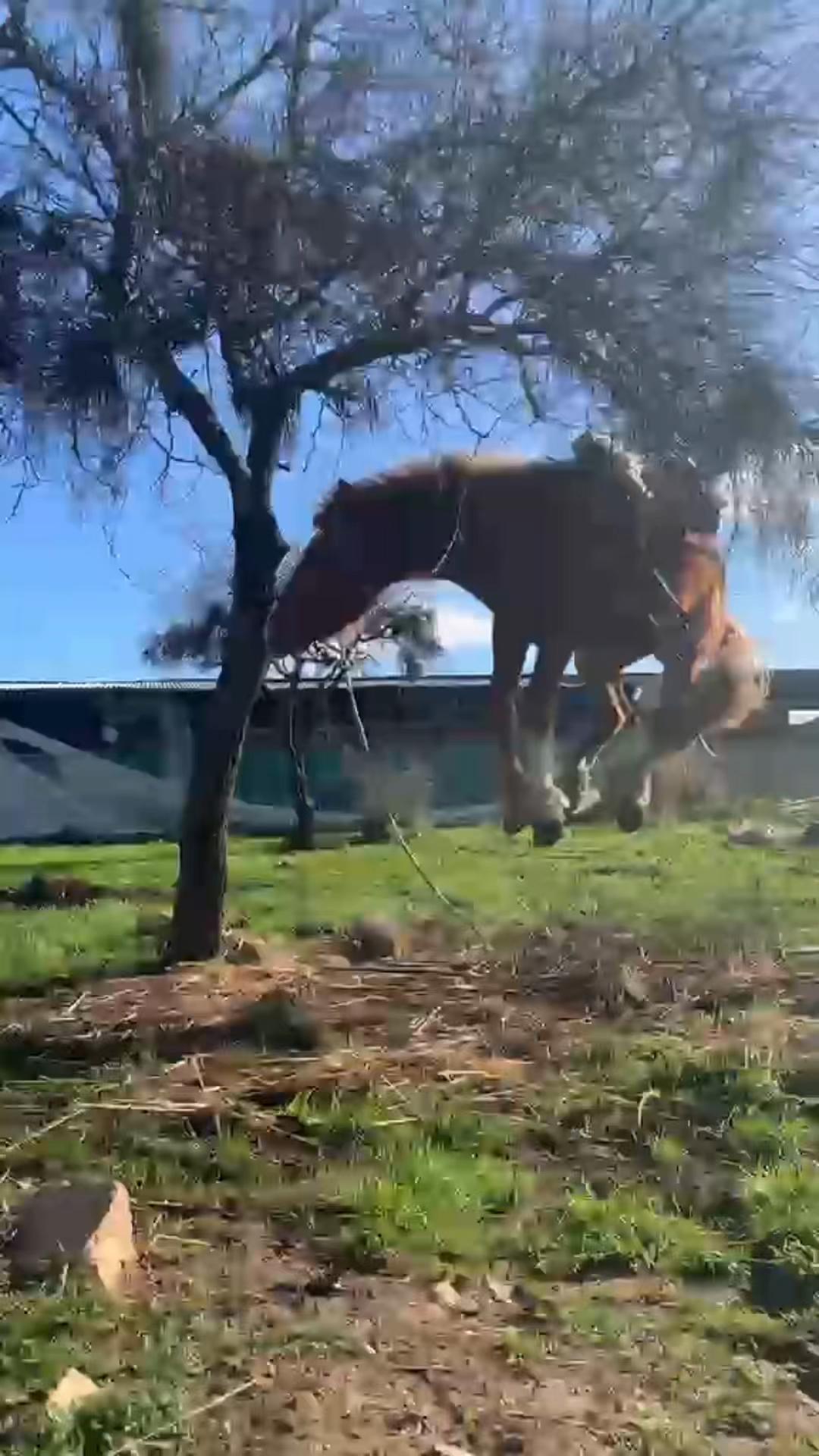 @Chica &eacute;nfasis👎🏻💗